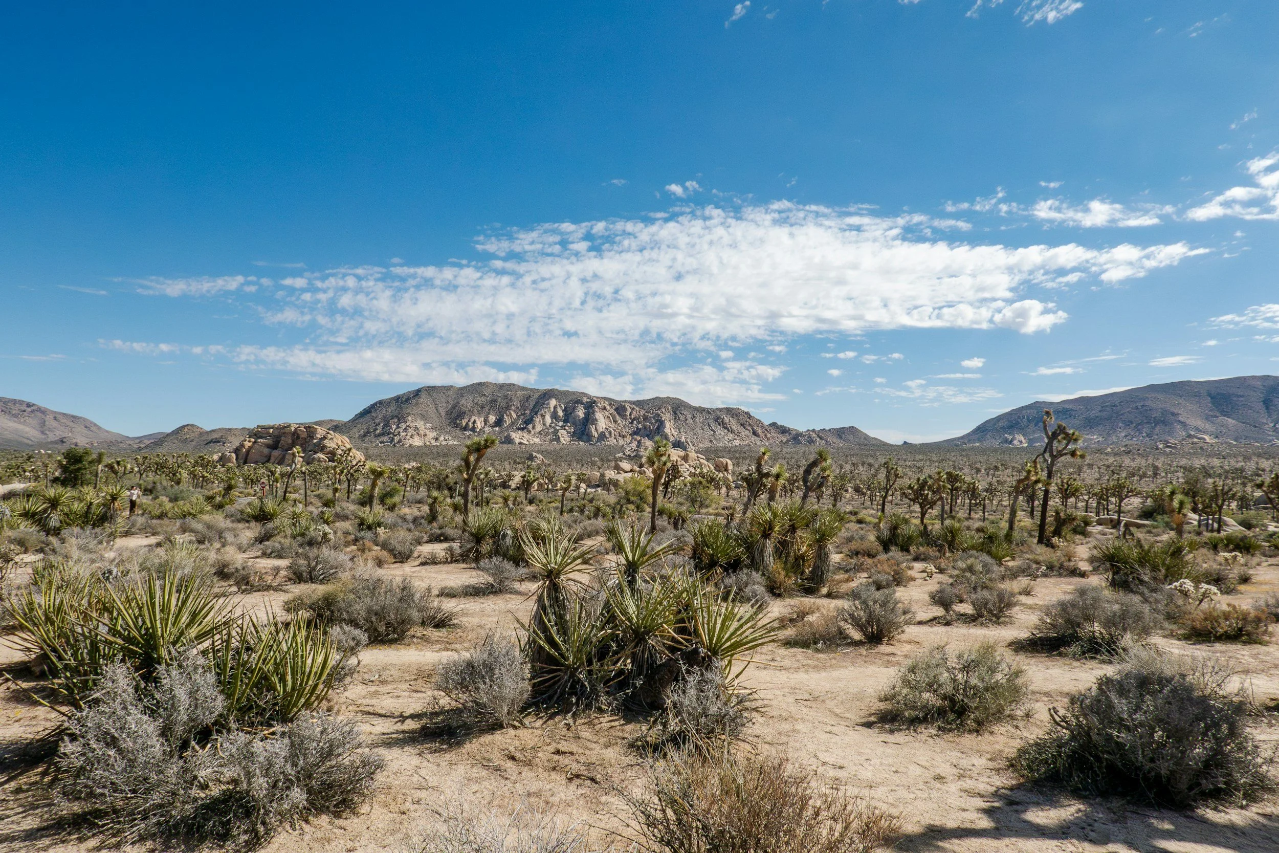 Why California Desert Land Draws Quiet Life Seekers