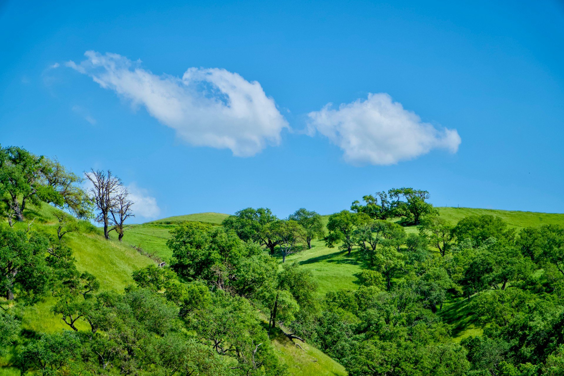 Undeveloped Land in California and What You Can Actually Do
