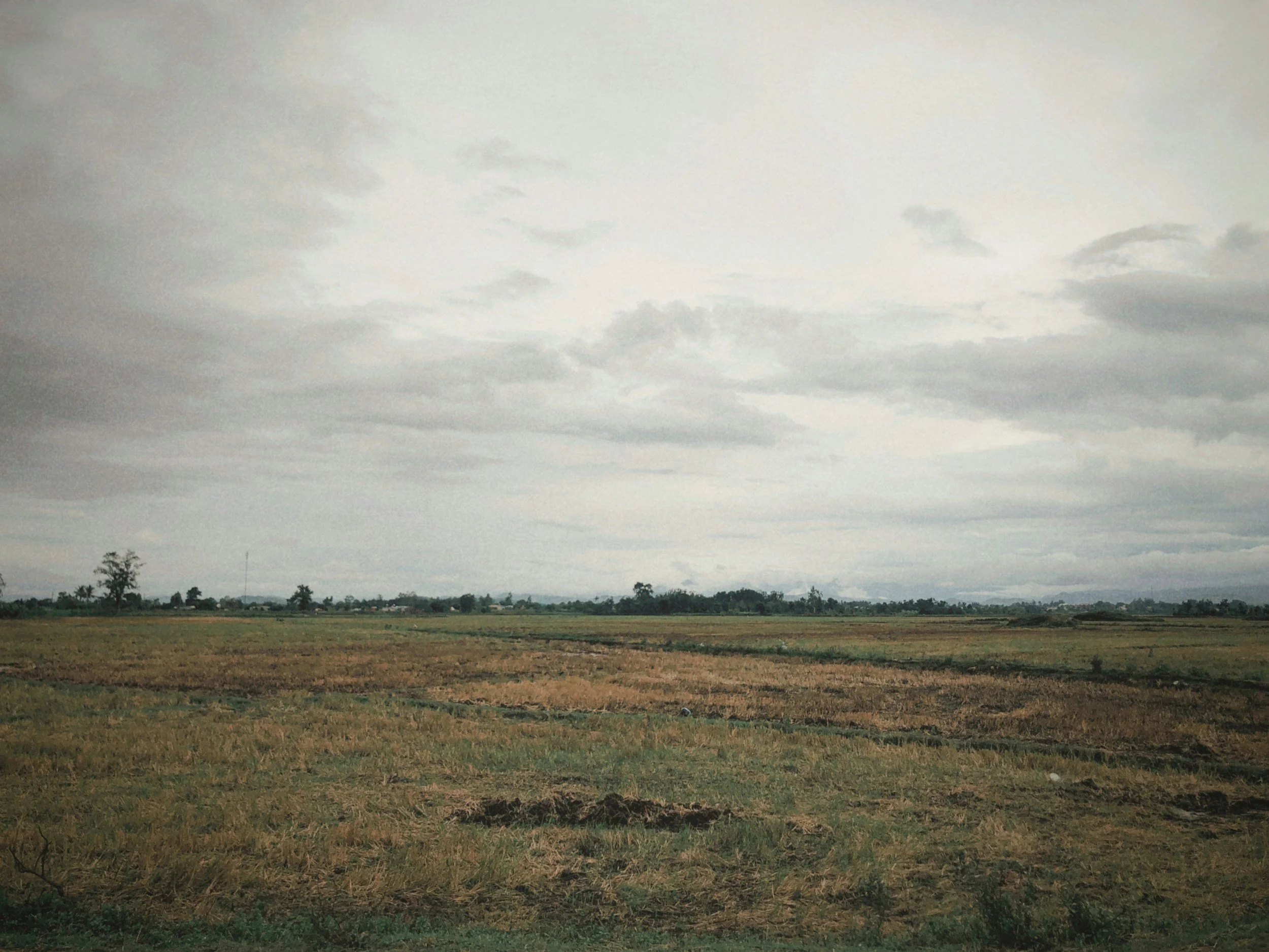 When to Consider Raw Land Investment in California This Year