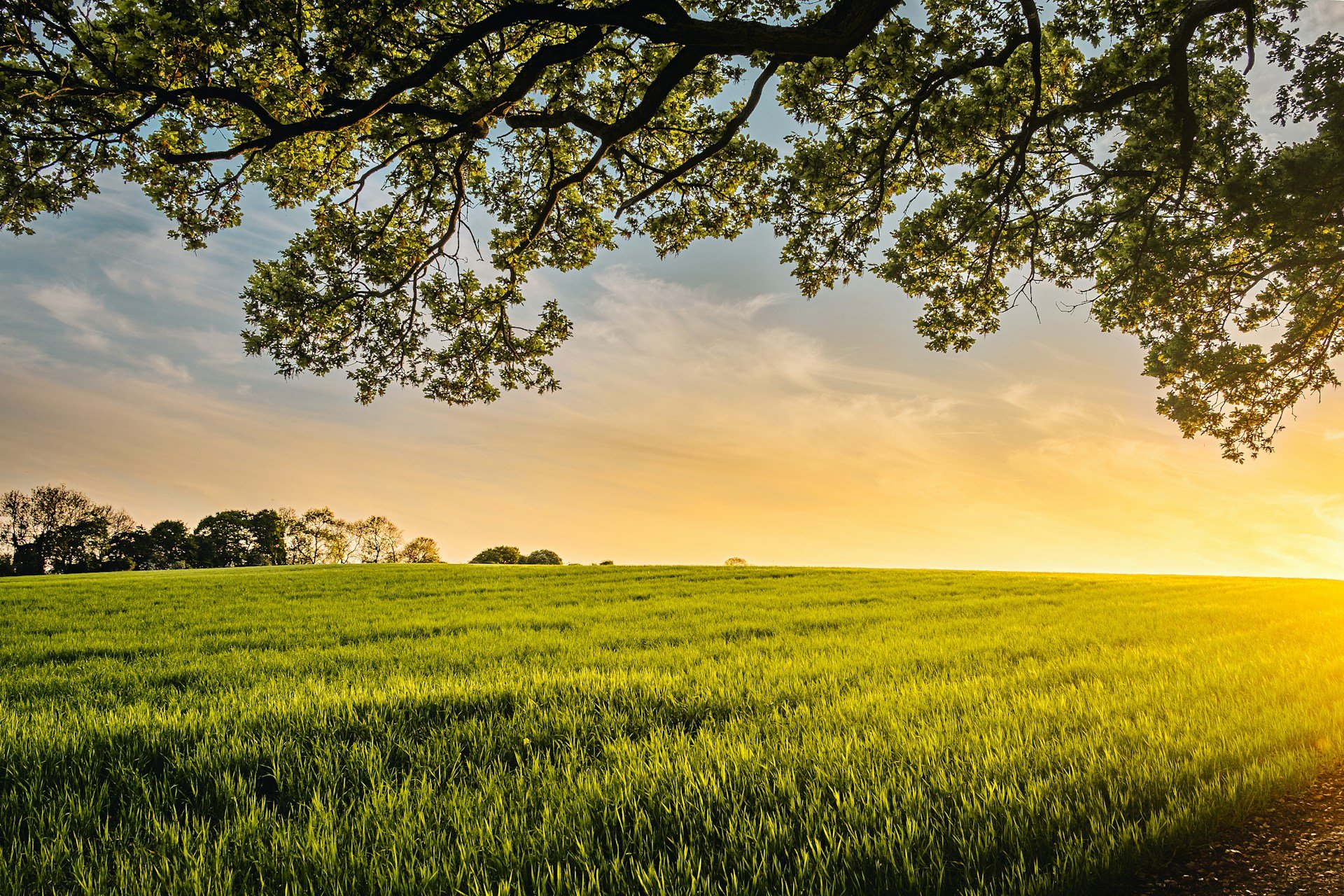 Understanding California Raw Land for Sale This July