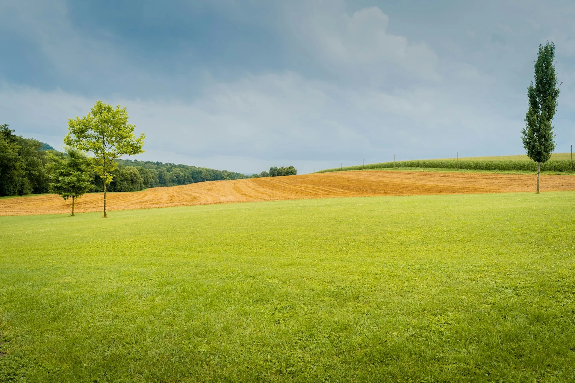 When to Look at California Land Listings for Best Results