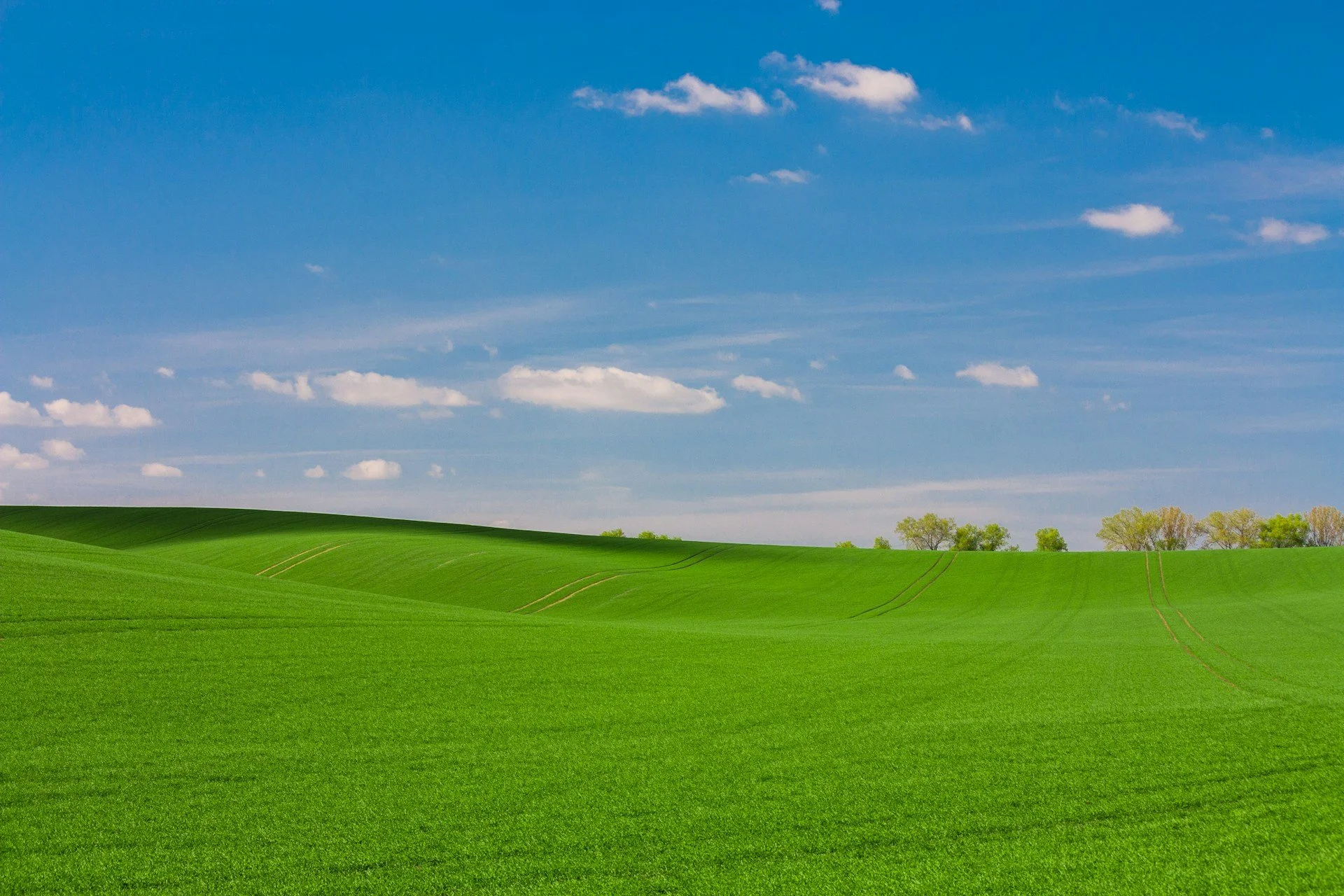 Why Owning California Land Still Makes Sense in 2026