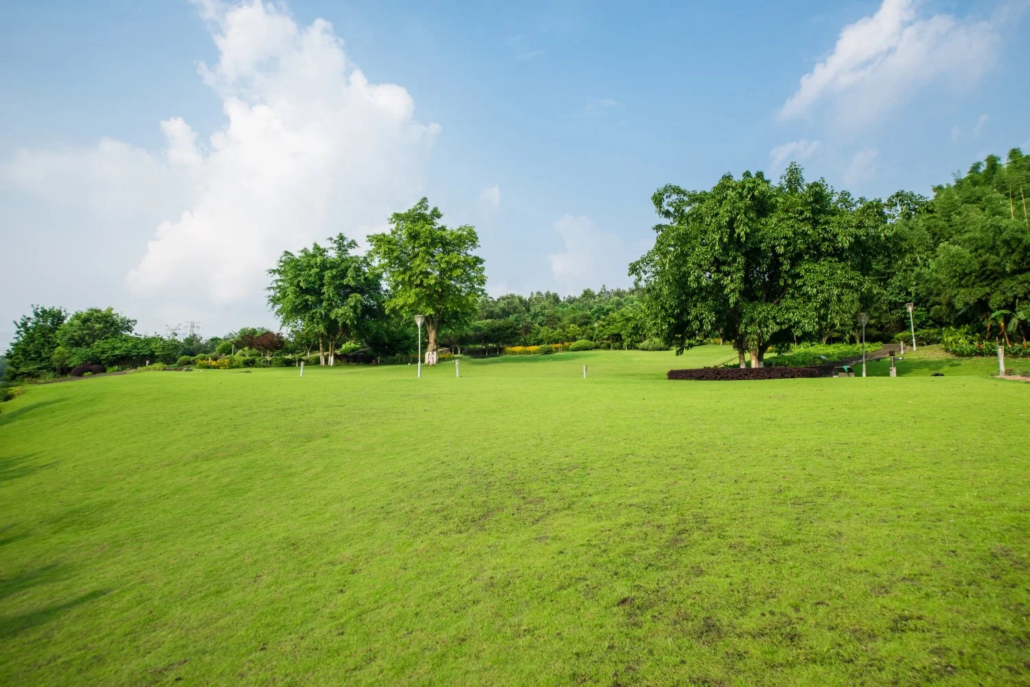 Buying Buildable Lots in California for Post-Summer Building