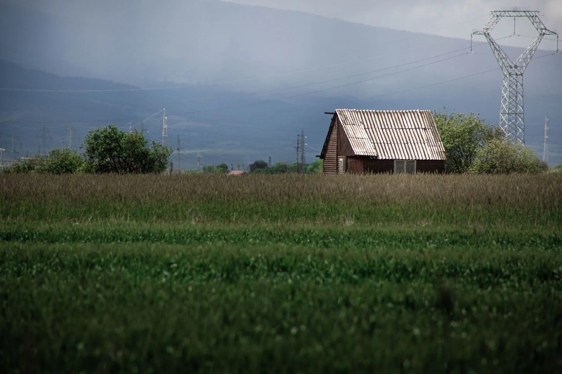 What You Should Know Before Buying California Off-Grid Land