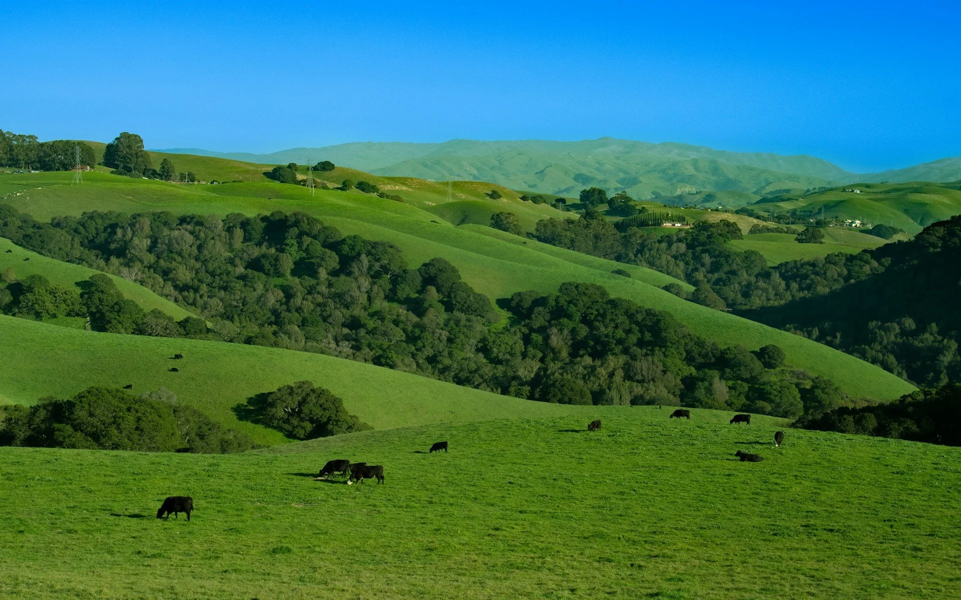 What Kind of Buyer Looks for California Ranch Land?