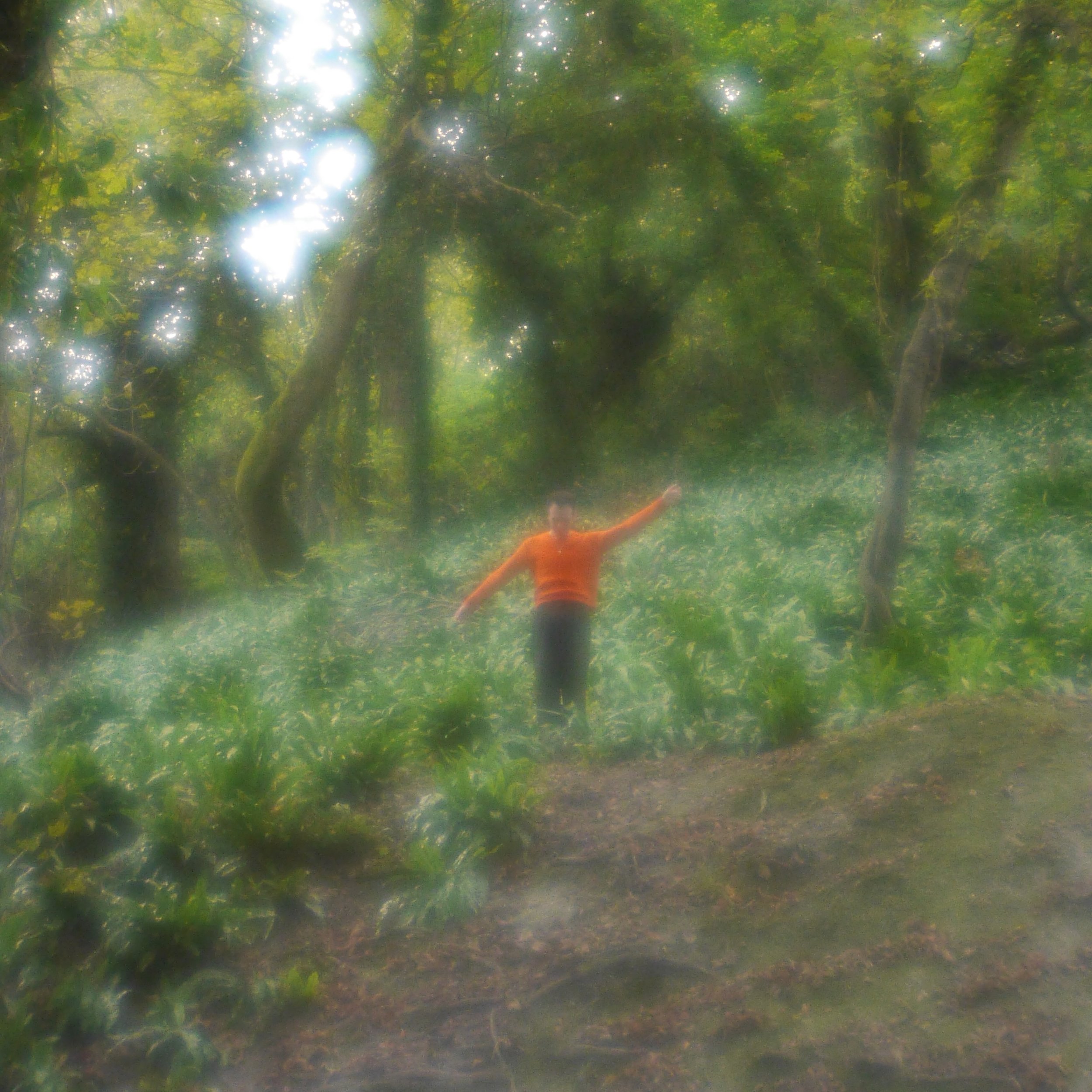 The Weather Person (Artwork).jpg