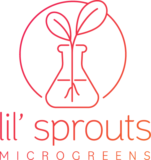 lil sprouts microgreens logo