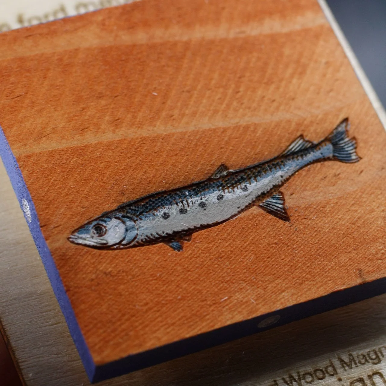 Sardine 5.jpg