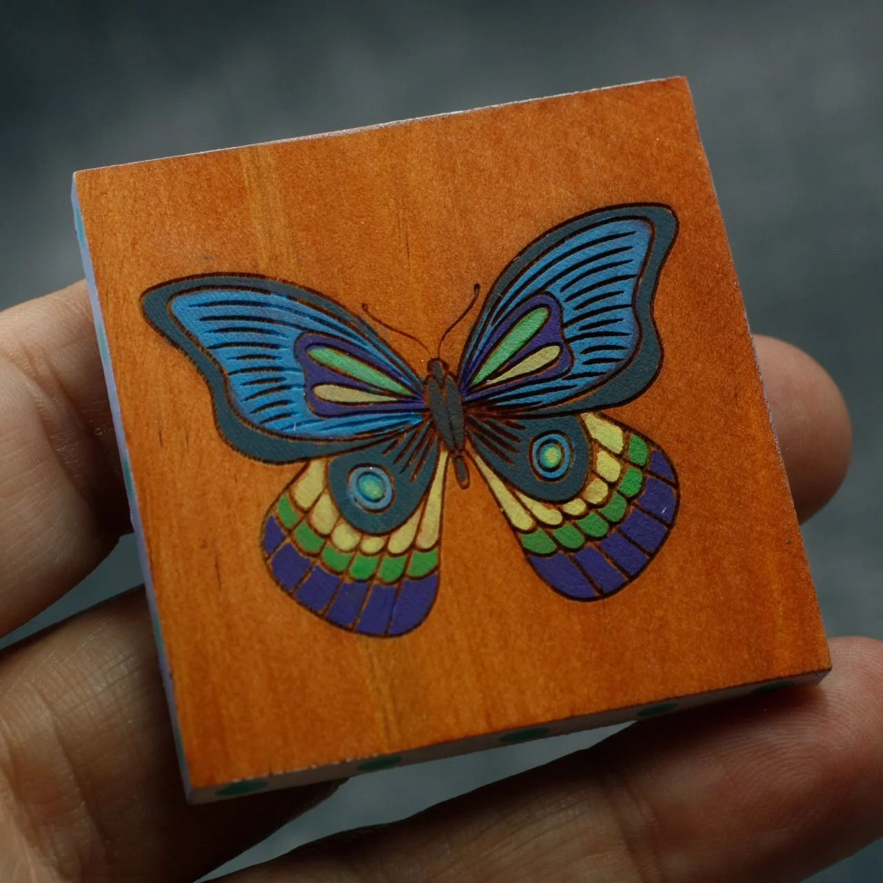 Butterfly 3.jpg