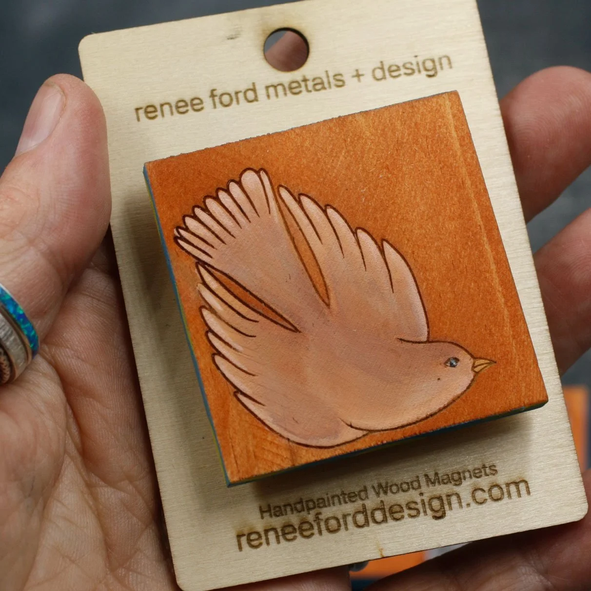 Diving Bird Tan 5.jpg