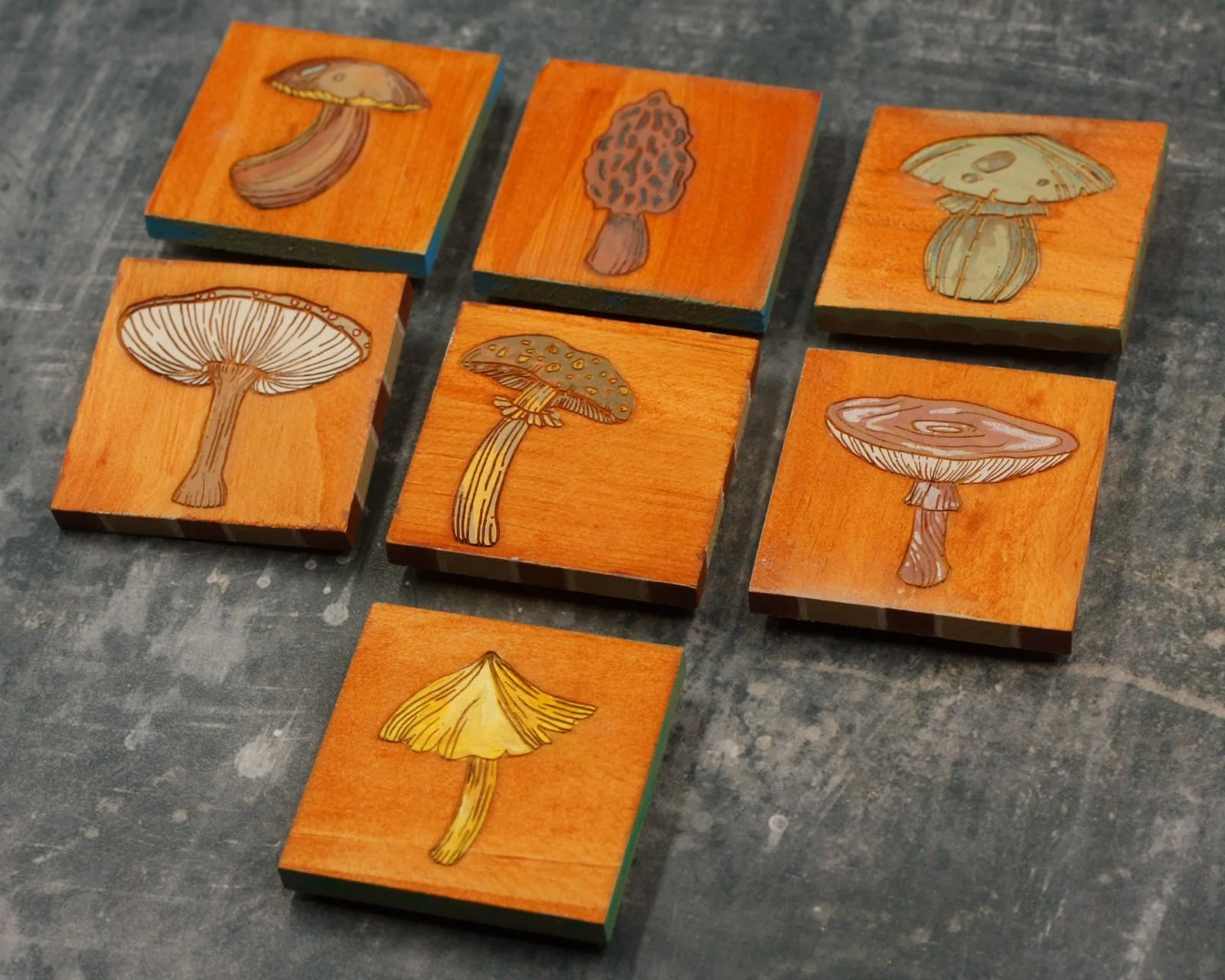 Mushroom group.jpg