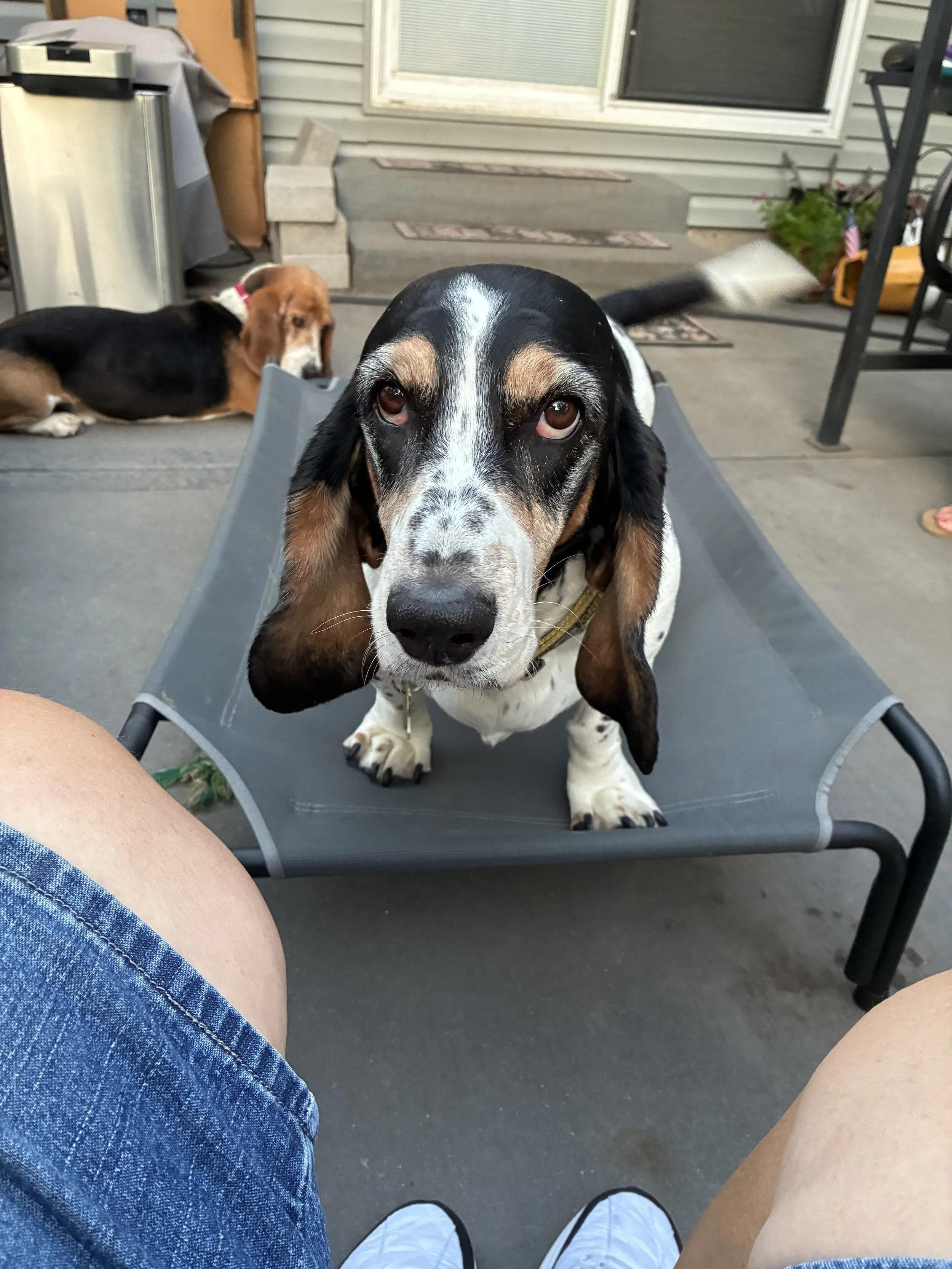 Archie photo.jpg