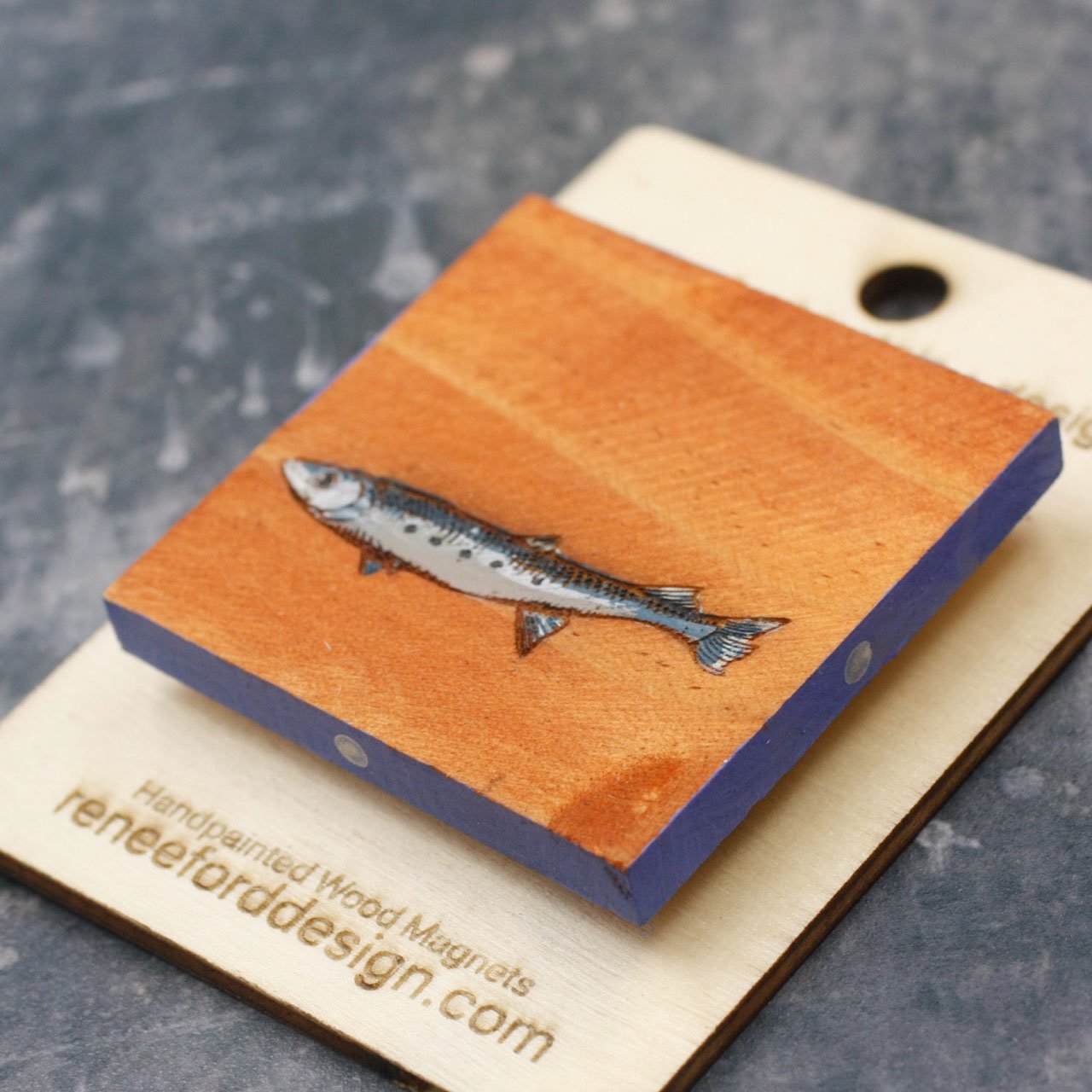 Sardine 7.jpg