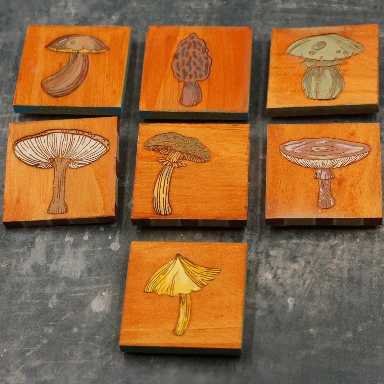 Mushroom group 1.jpg