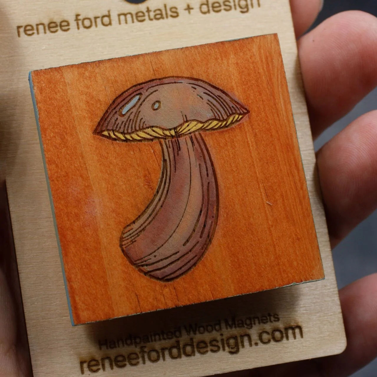 Porcini 4.jpg