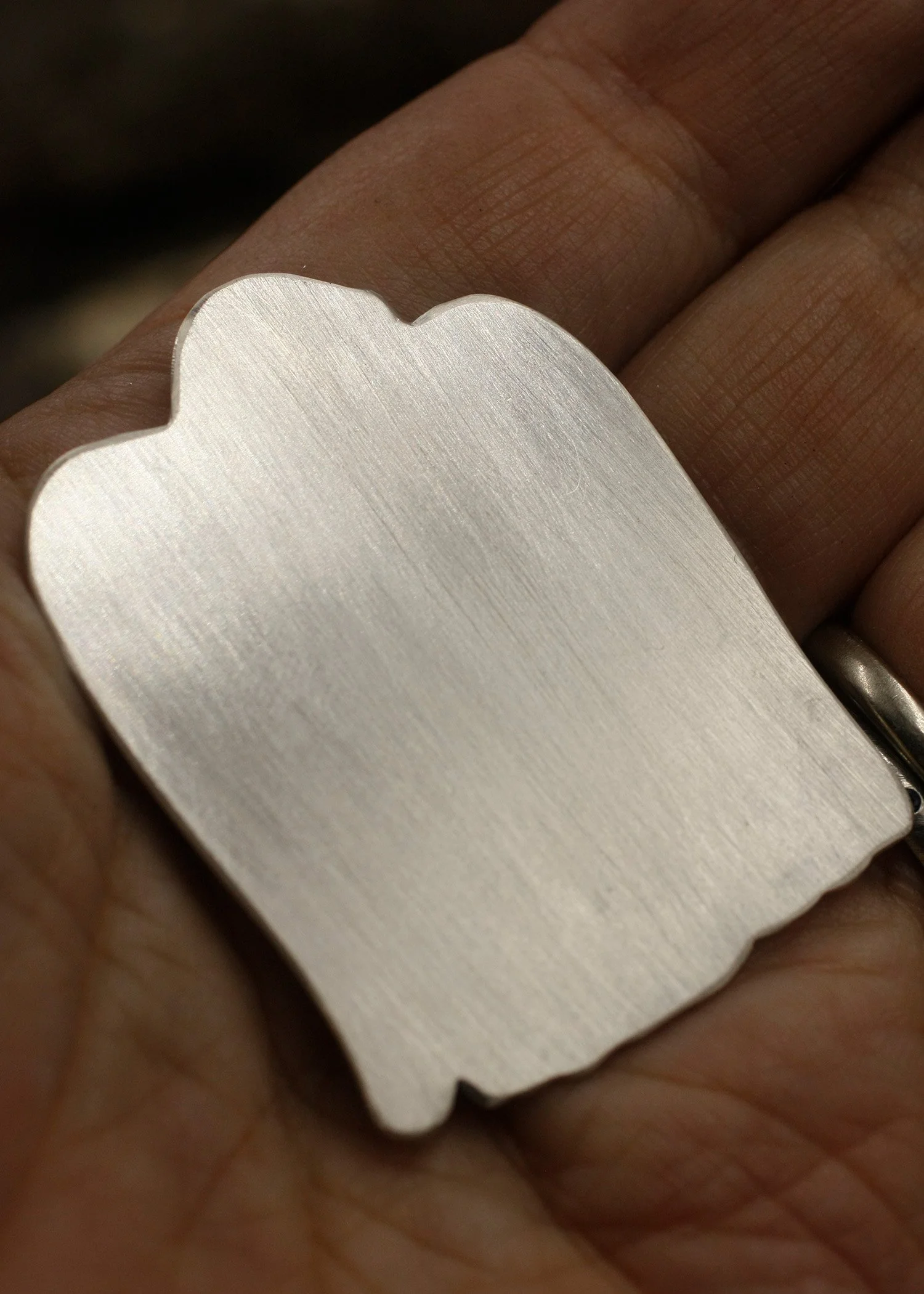 Gravee Duo Project March Garden Bird 3.jpg