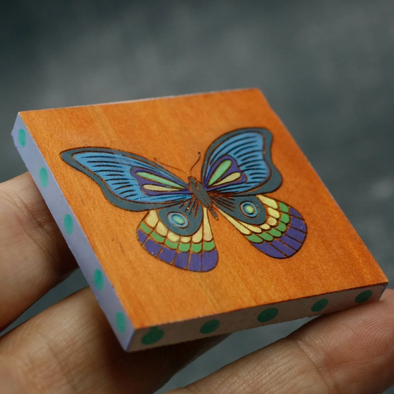 Butterfly 4.jpg