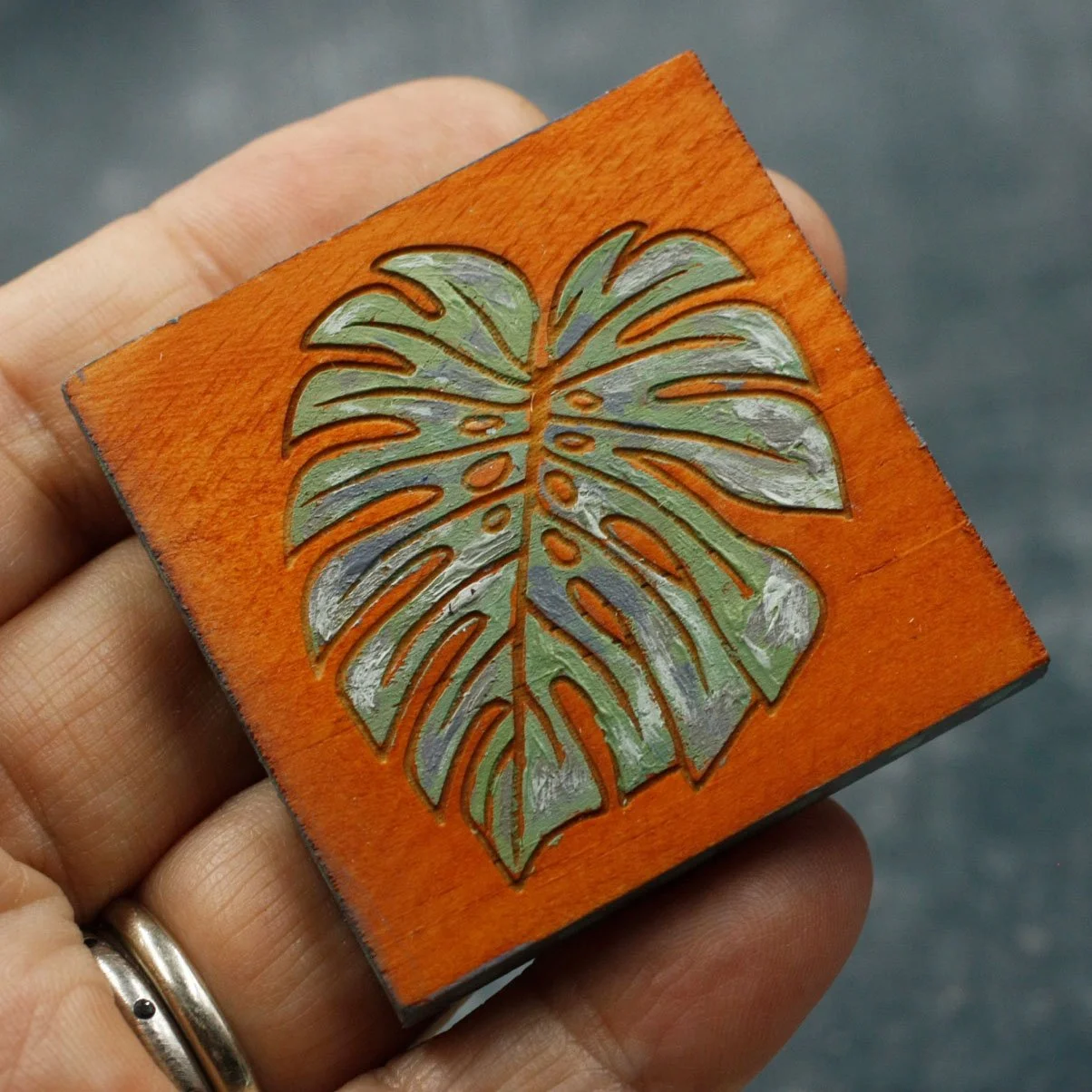 Monstera Leaf 3.jpg