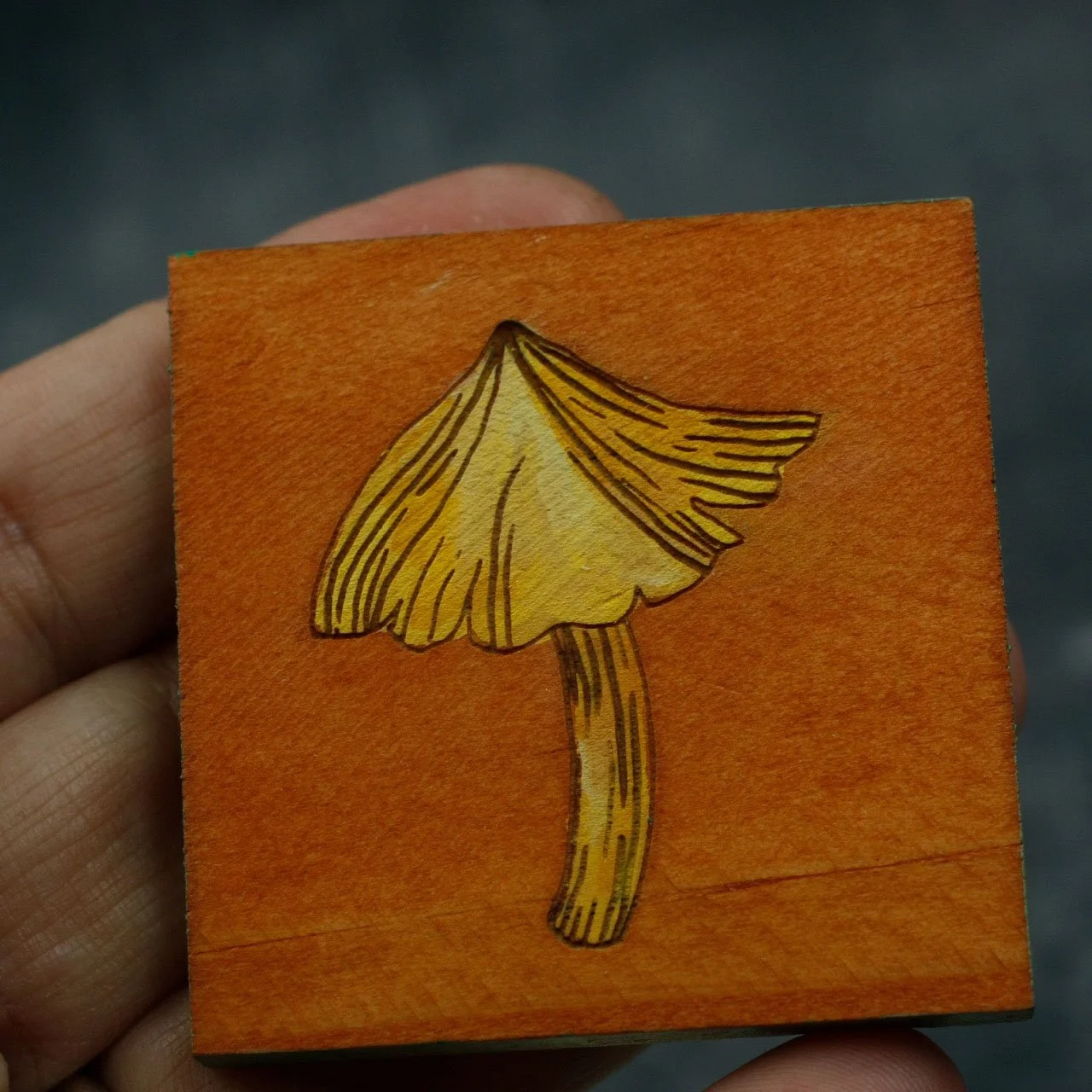Ink-Cap 3.jpg