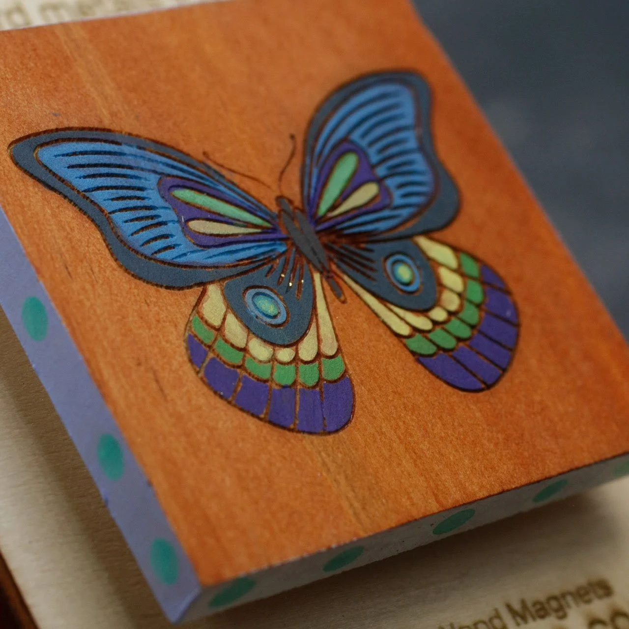 Butterfly 2.jpg