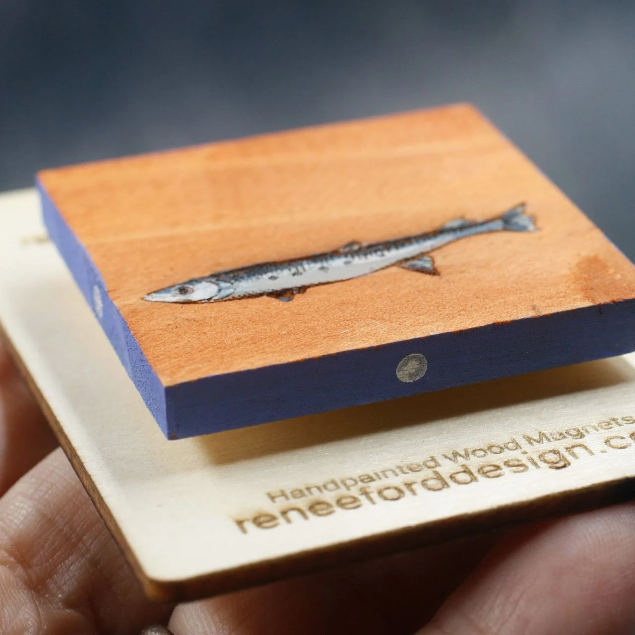 Sardine 3.jpg