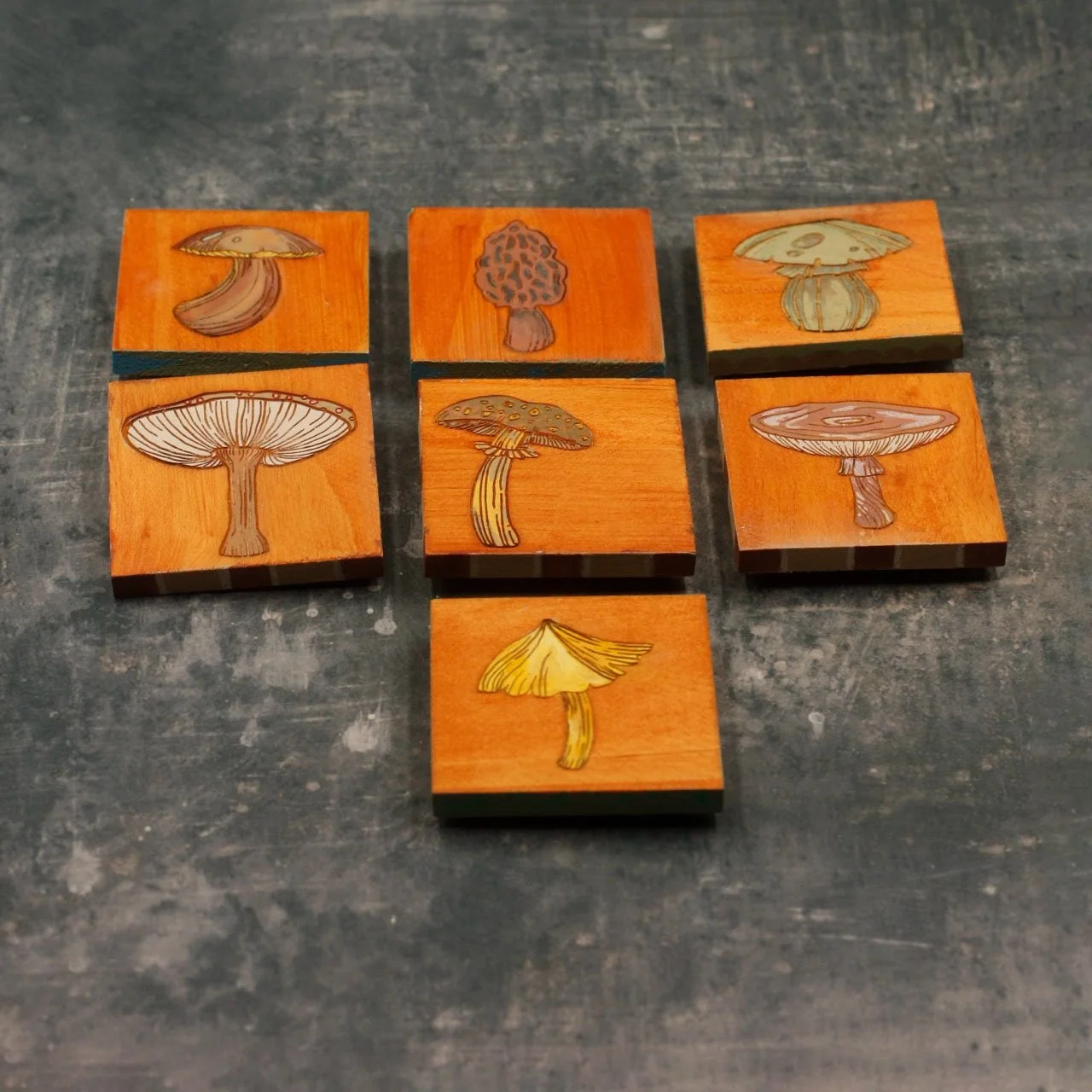 Mushroom group 3.jpg
