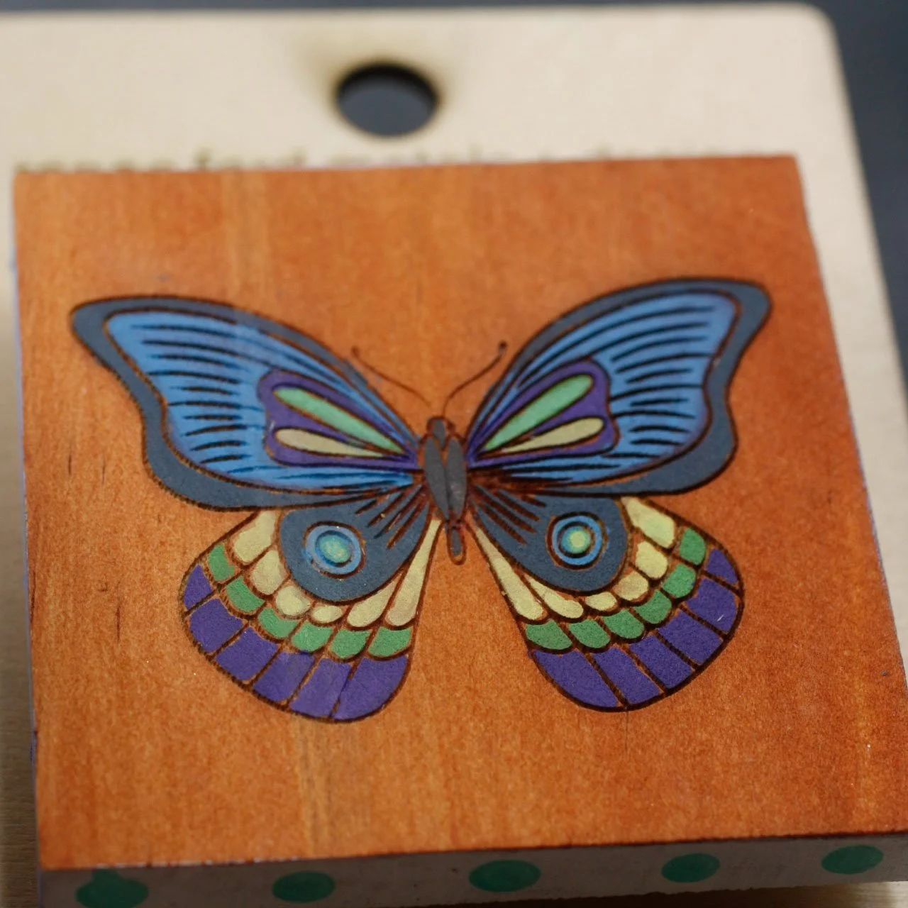 Butterfly 1.jpg