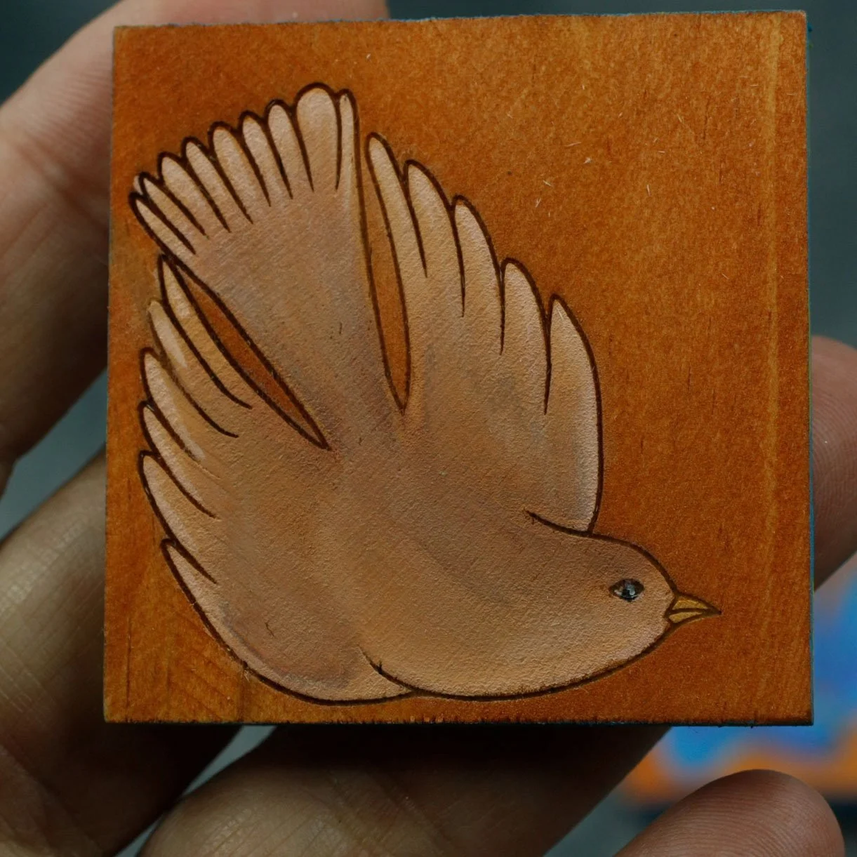 Diving Bird Tan.jpg