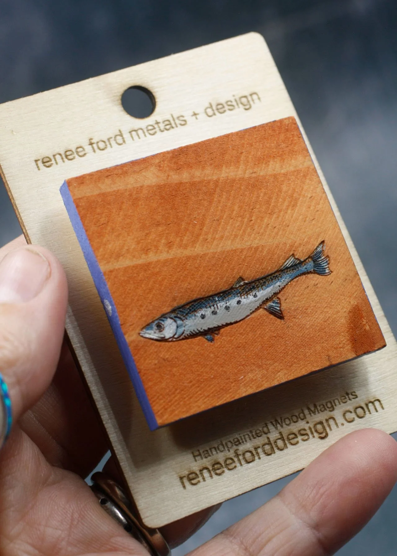 Sardine 4.jpg