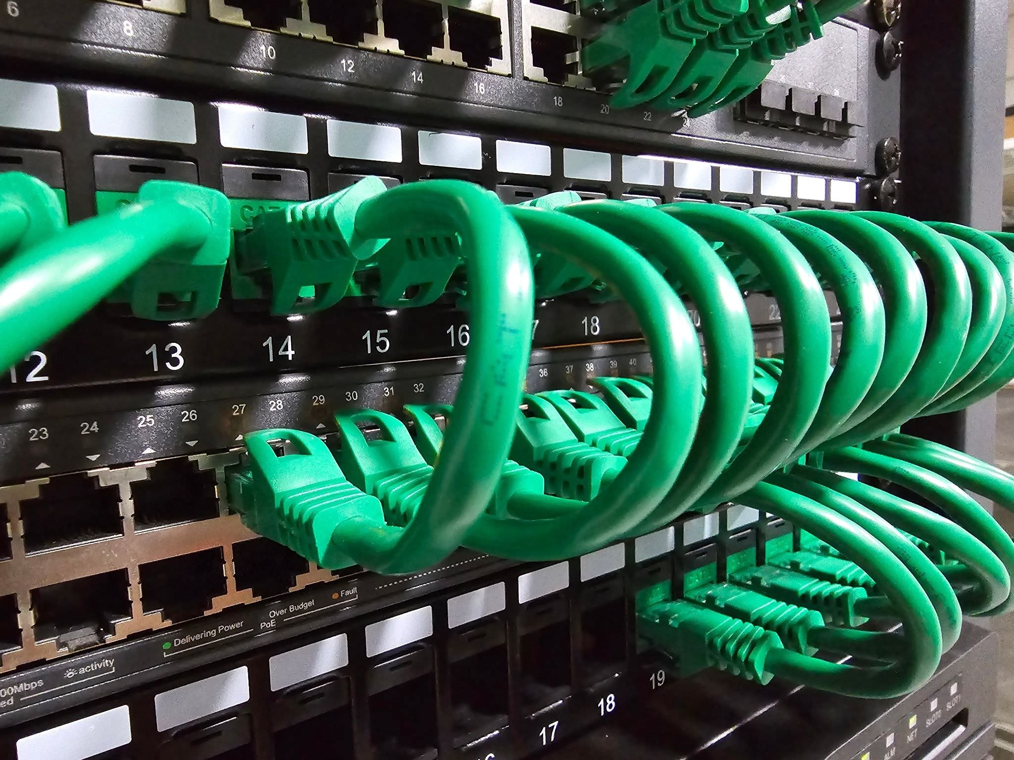 a close up green ethernet patch cables plugged into professional networking equipment