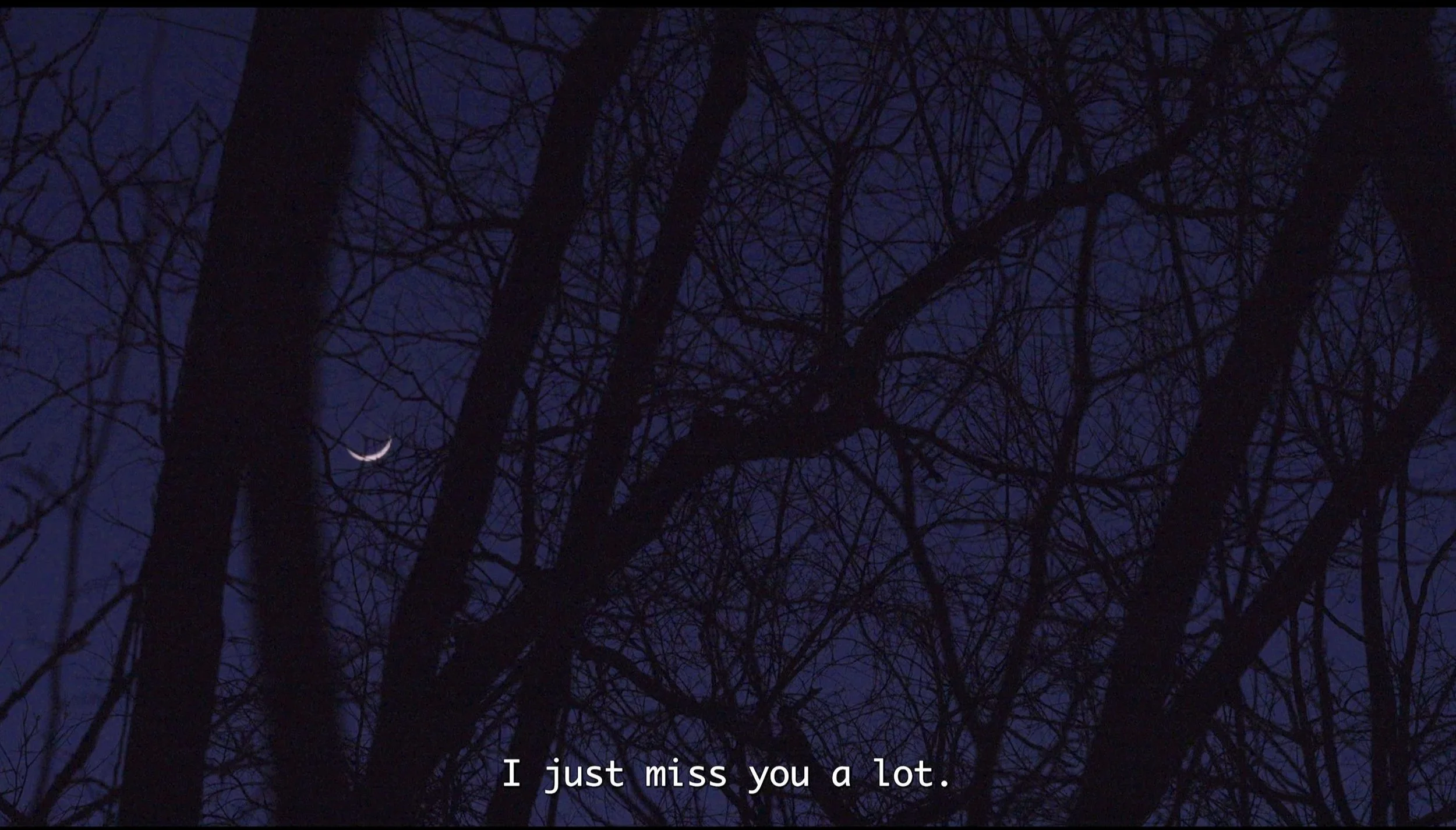 Nighttime view of a dark, leafless tree with a crescent moon visible through the branches in a cloudy sky, with the subtitle 'I just miss you a lot.'