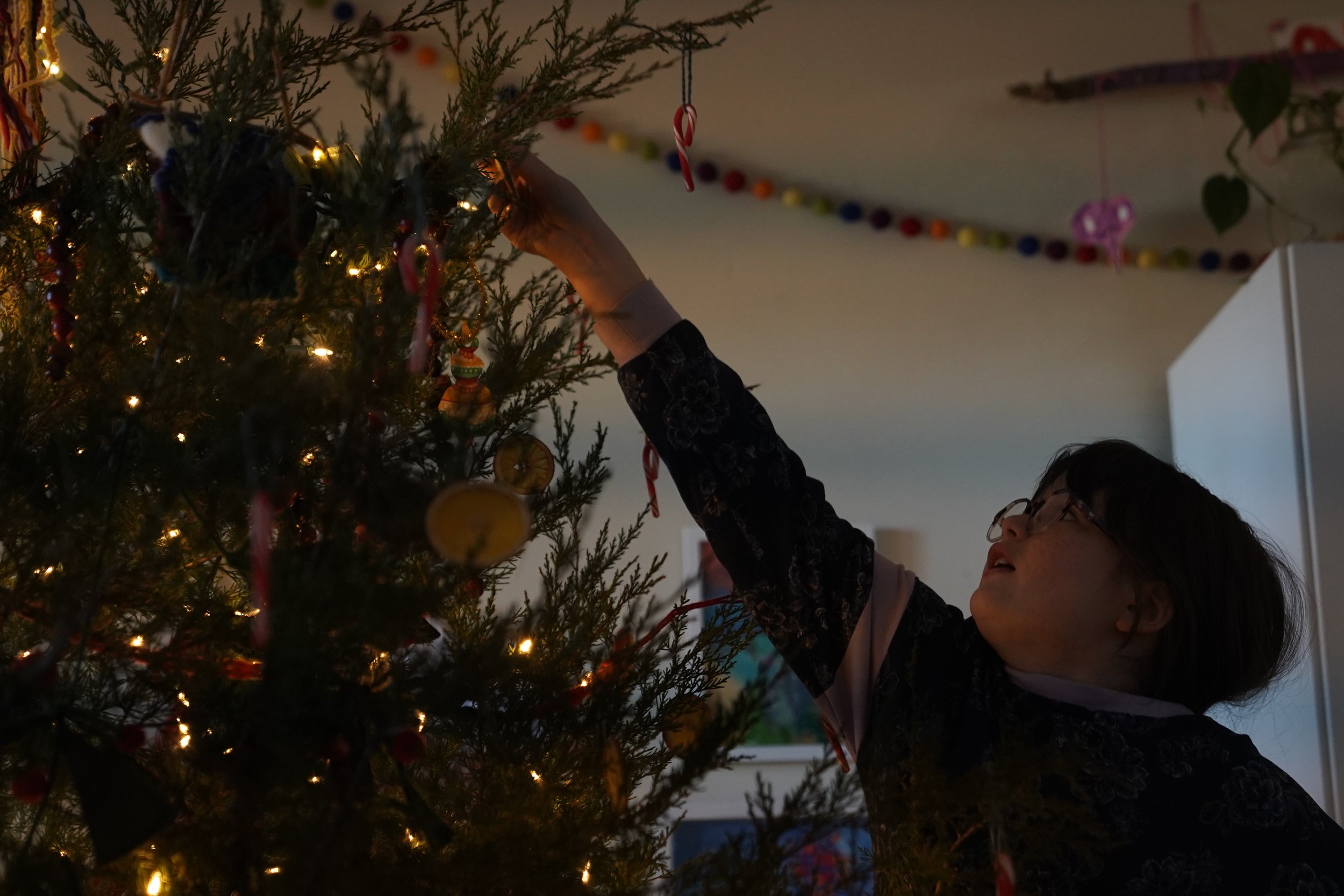 Freda Vair, 9, hangs a dried orange on her family’s Christmas tree on Dec. 14 at her home in Prairie Home. The Vair family decorated their tree with mostly homemade ornaments, including candy canes, cranberry garland and dried oranges.