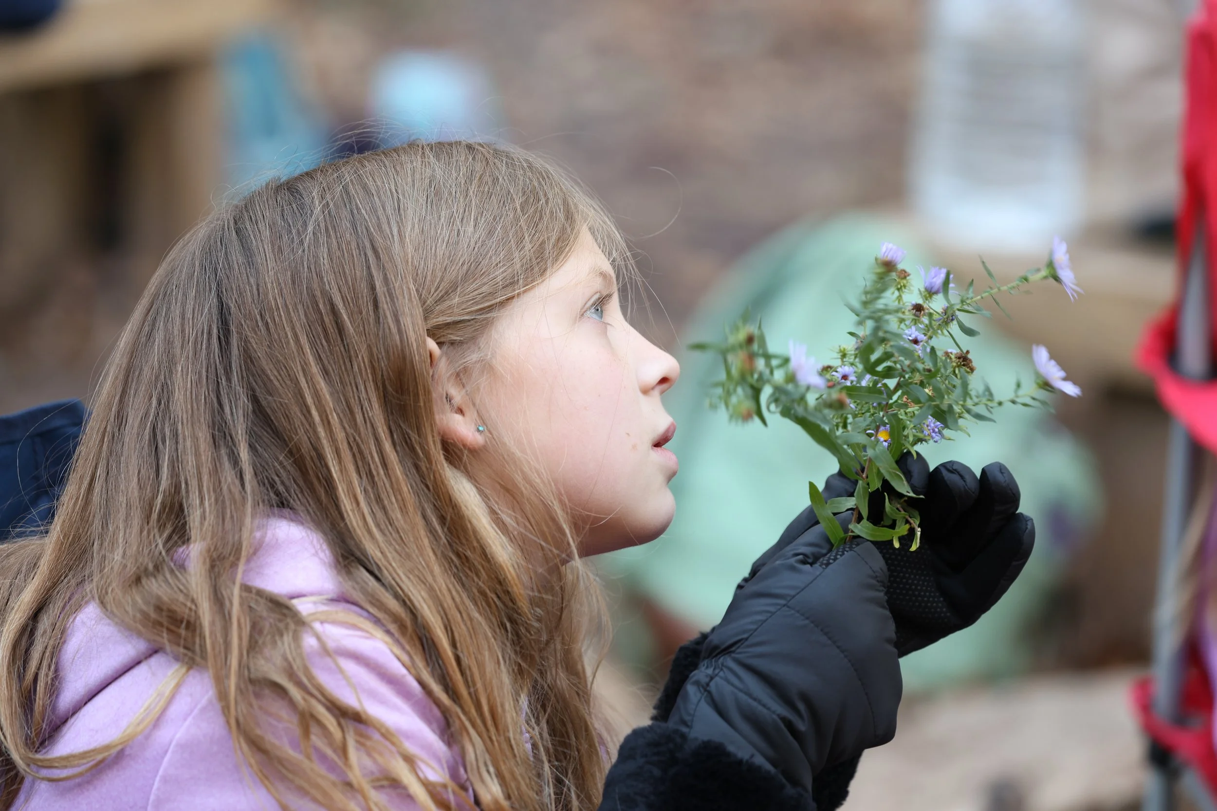 Georgia Lilley, 10, examines flowers on Oct. 23 at Camp Takimina in Columbia. Georgia and her class are currently learning about botany and pollination.