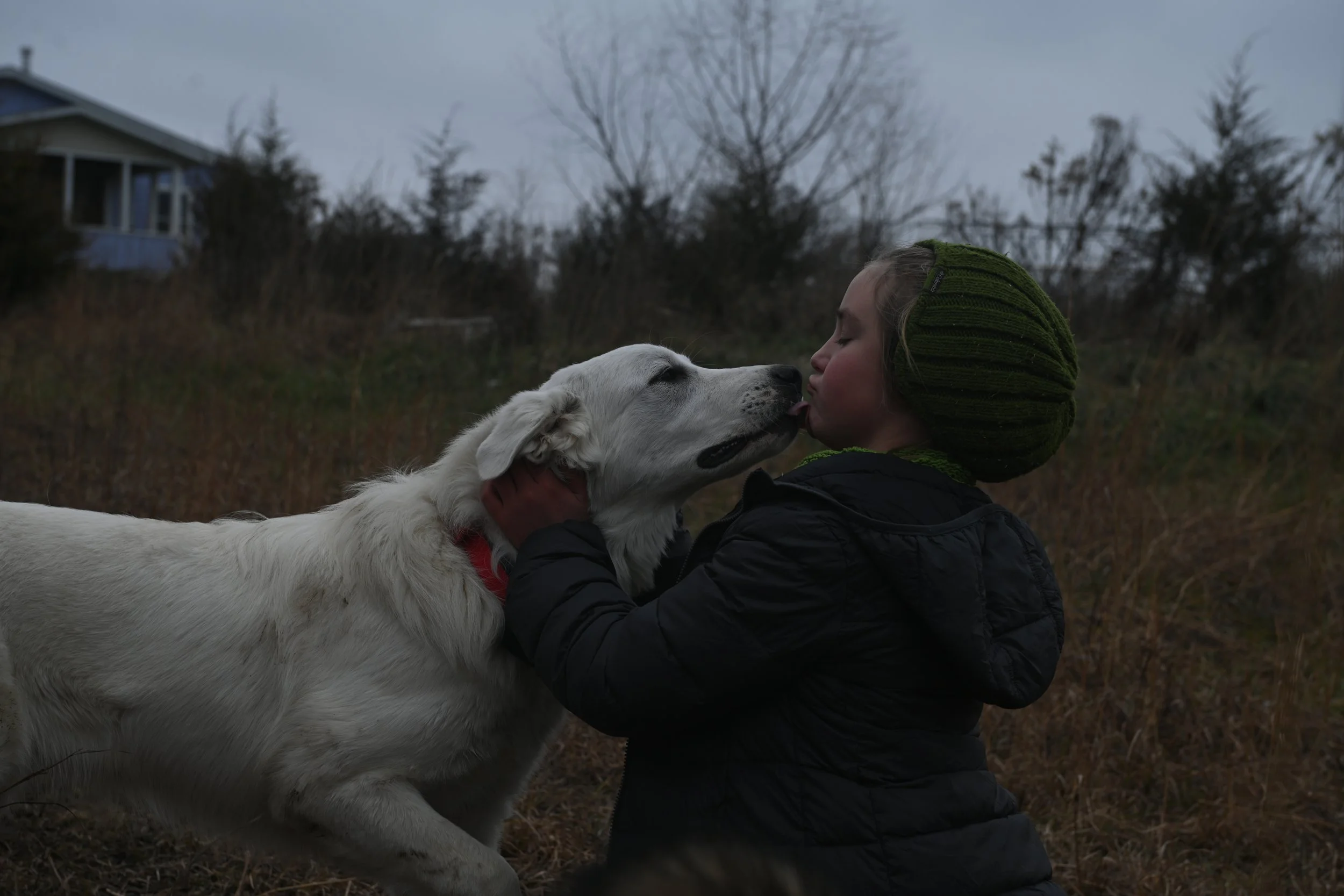 Sunny licks Ivy Sharp, 10, on Dec. 7 at their home in Hallsville. Ivy and her family, including mom, Sarah Smith, spend a lot of time outside running around and climbing trees, with the dogs always trailing close behind.