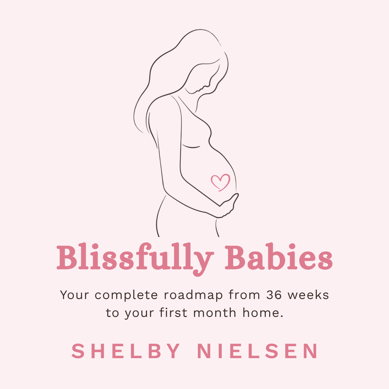 The Fourth Trimester Guide