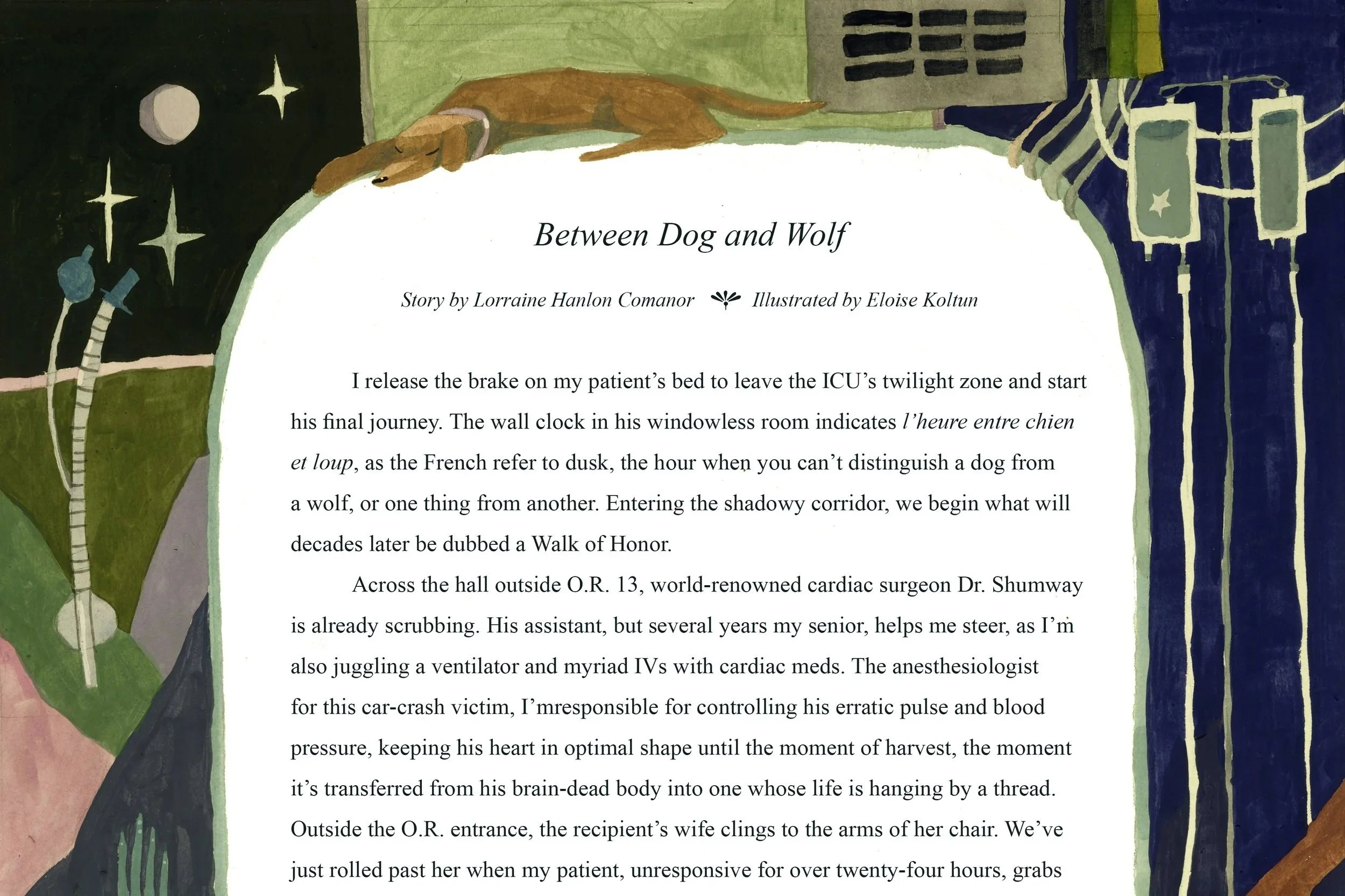 Between Dog and Wolf