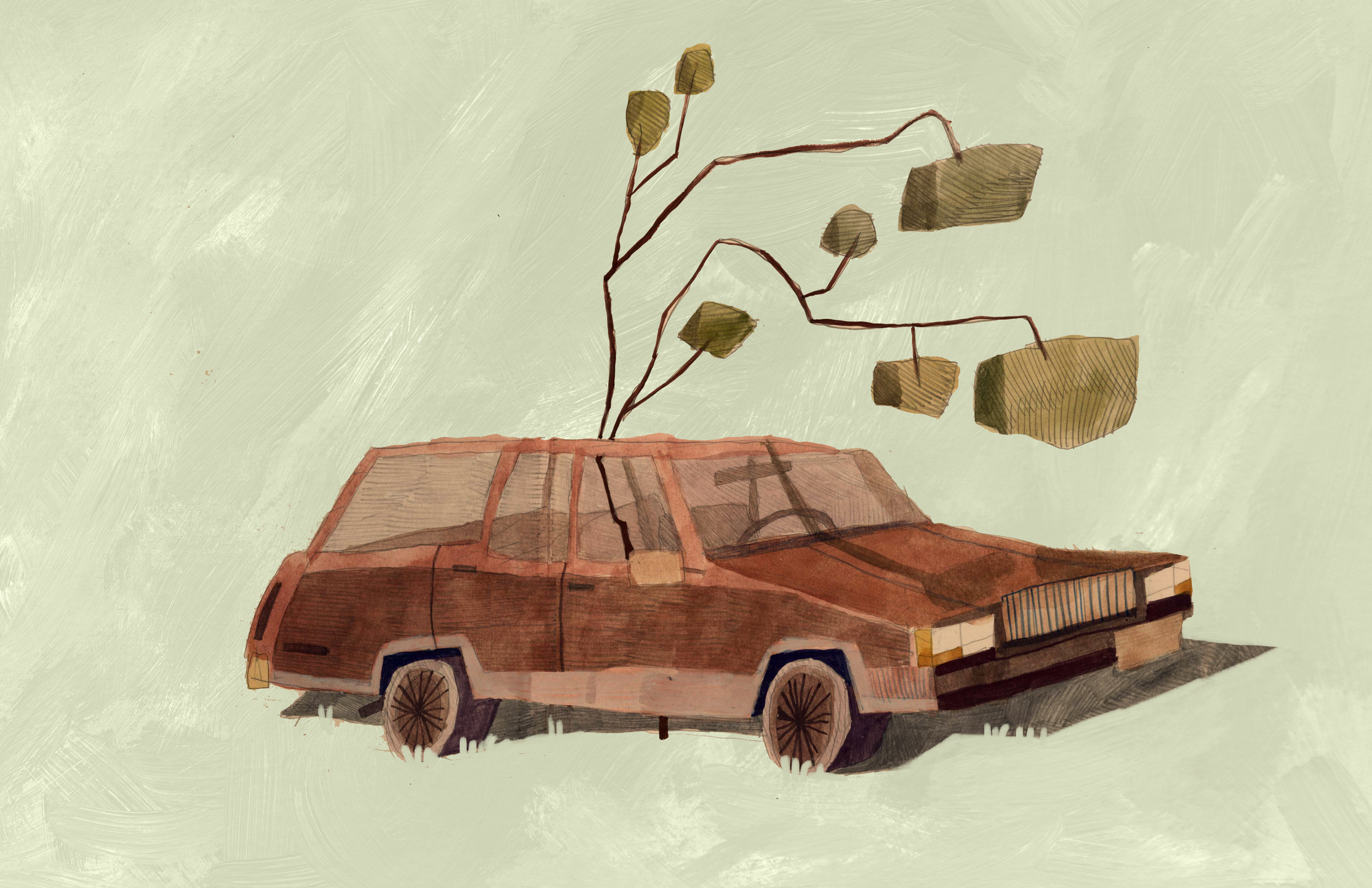 carwithtree.png