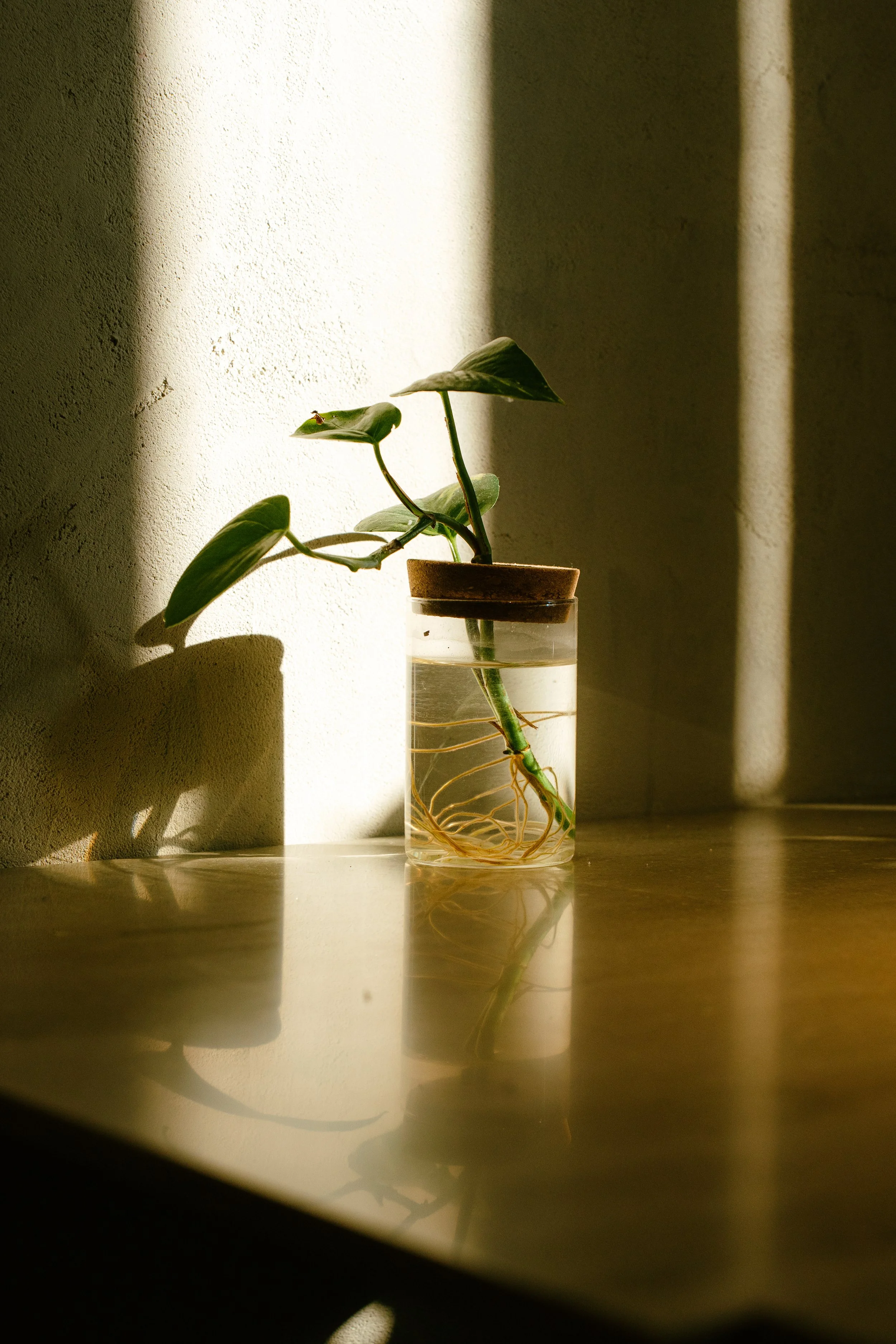 Photos save 30.5-21530.jpg