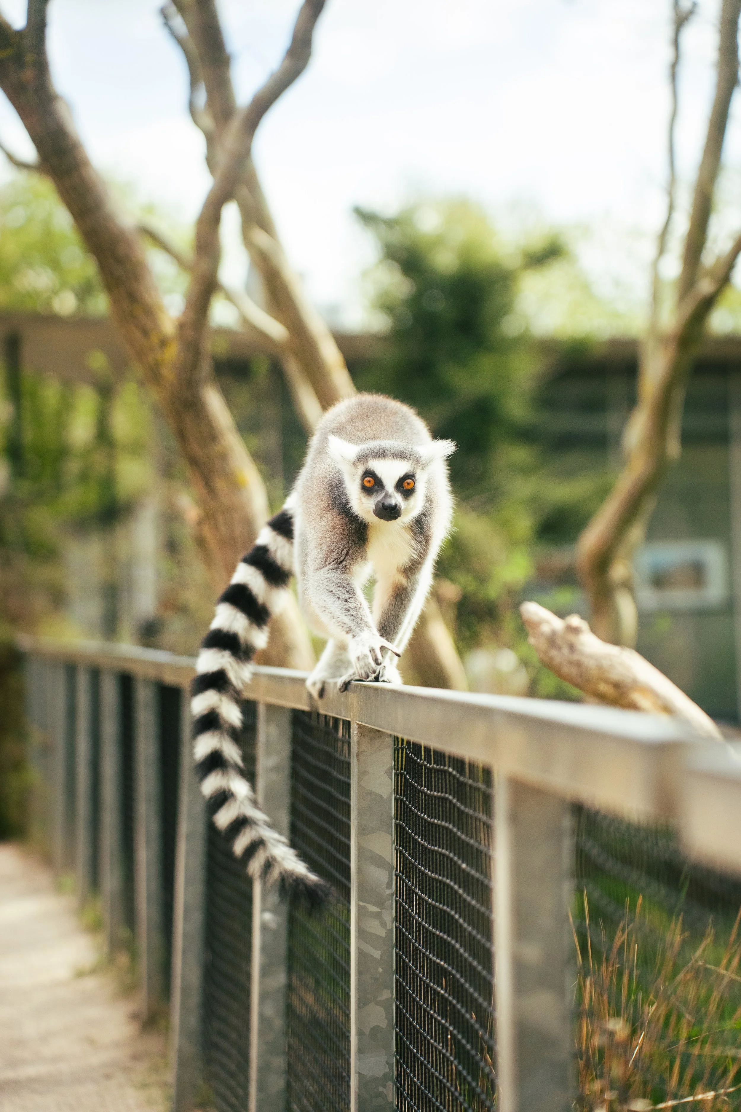 Photos save 30.5-21241.jpg