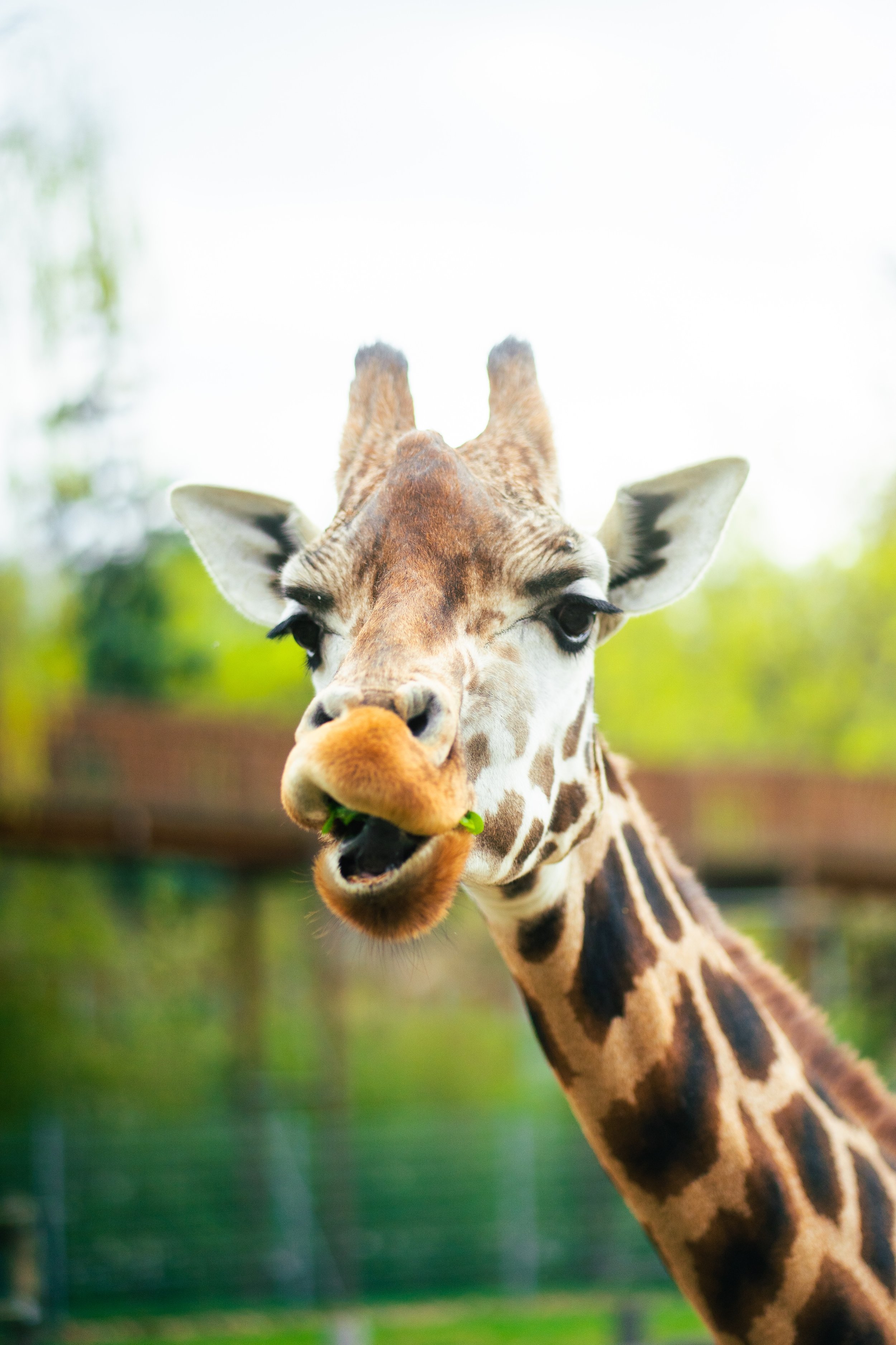 Photos save 30.5-21080.jpg