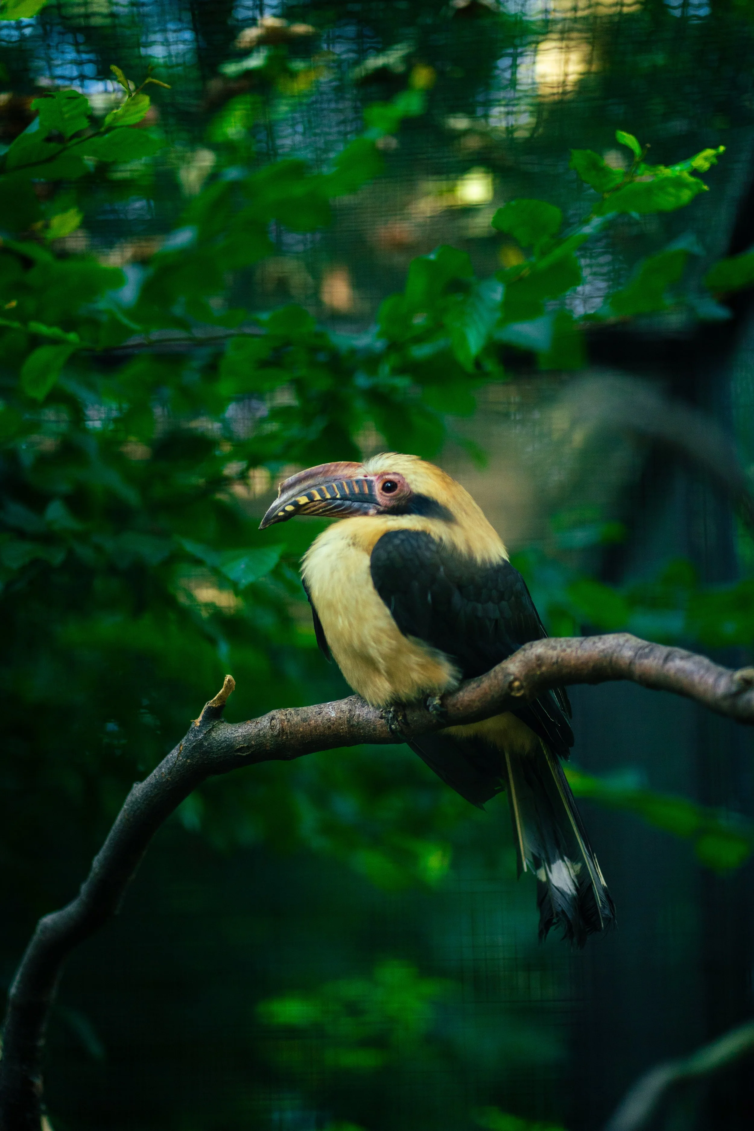 Photos save 30.5-18753.jpg