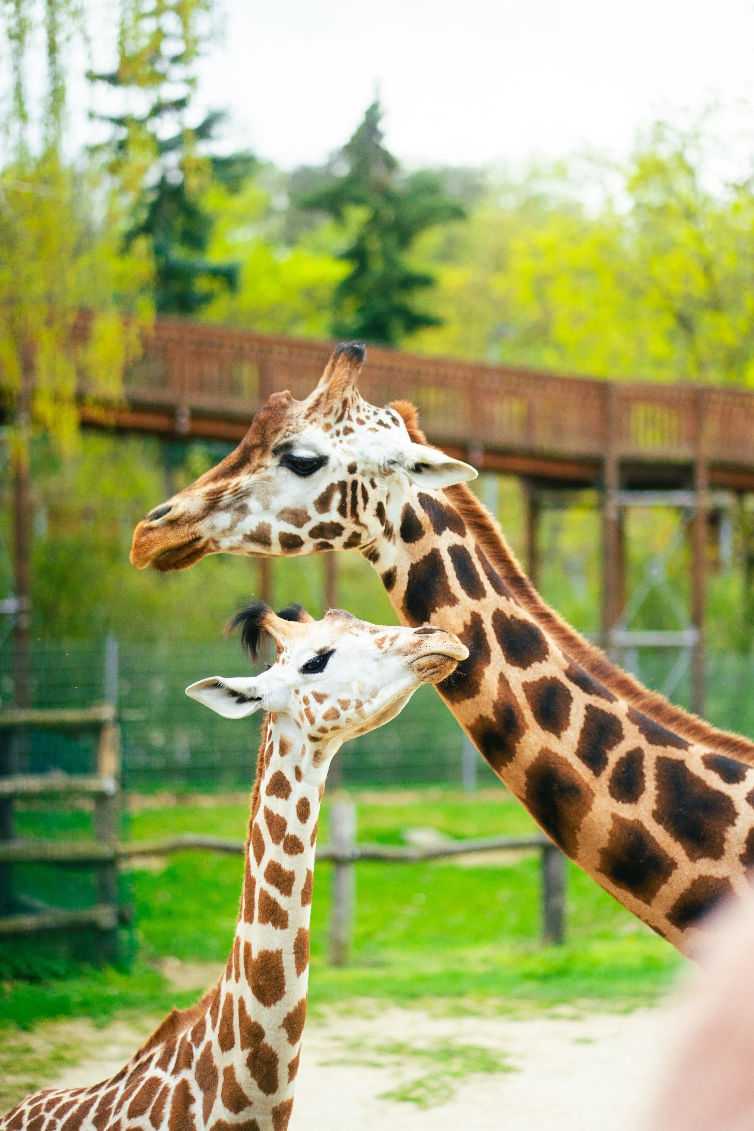 Photos save 30.5-21084.jpg