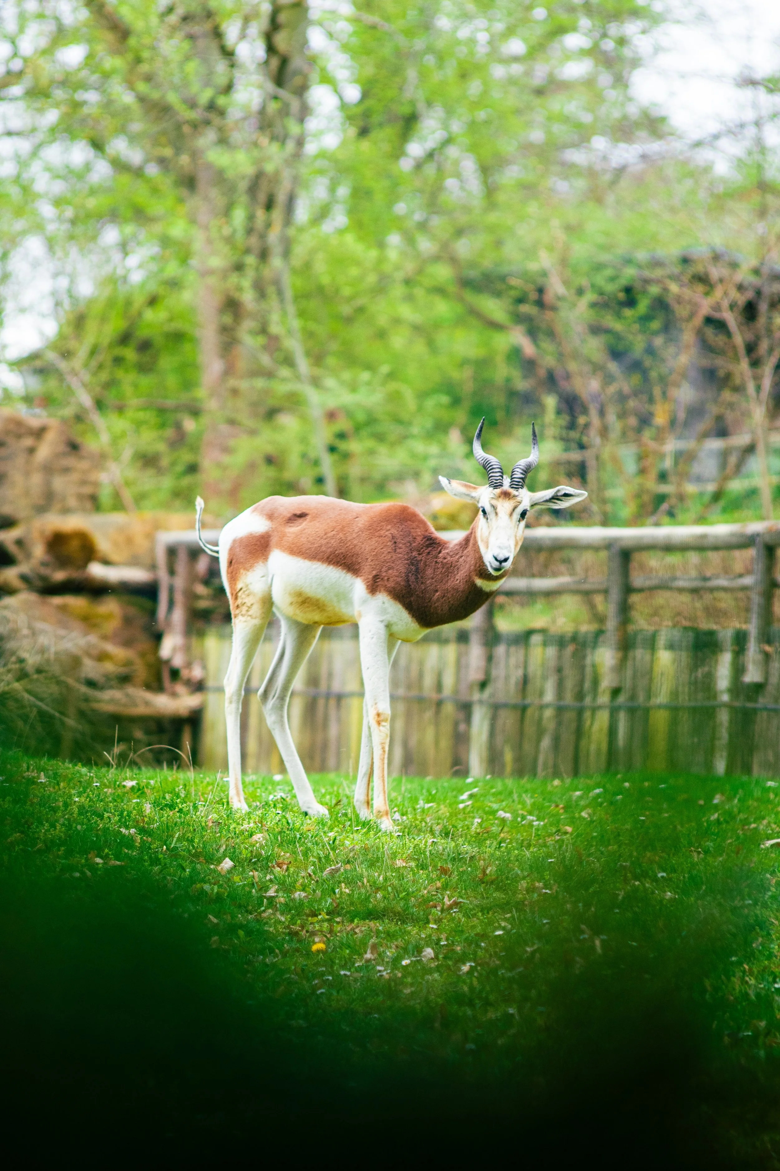 Photos save 30.5-21107.jpg