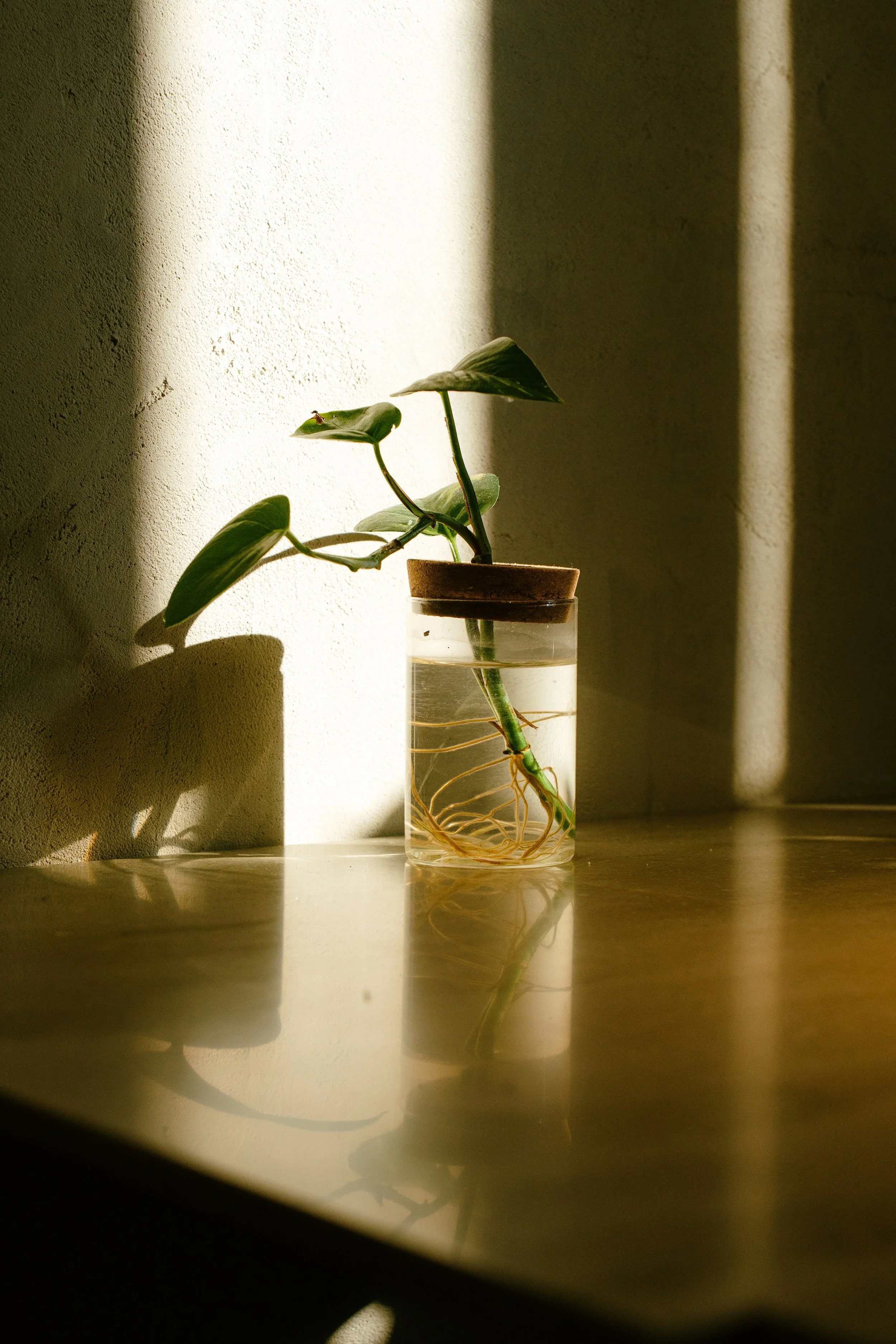 Photos save 30.5-21530.jpg