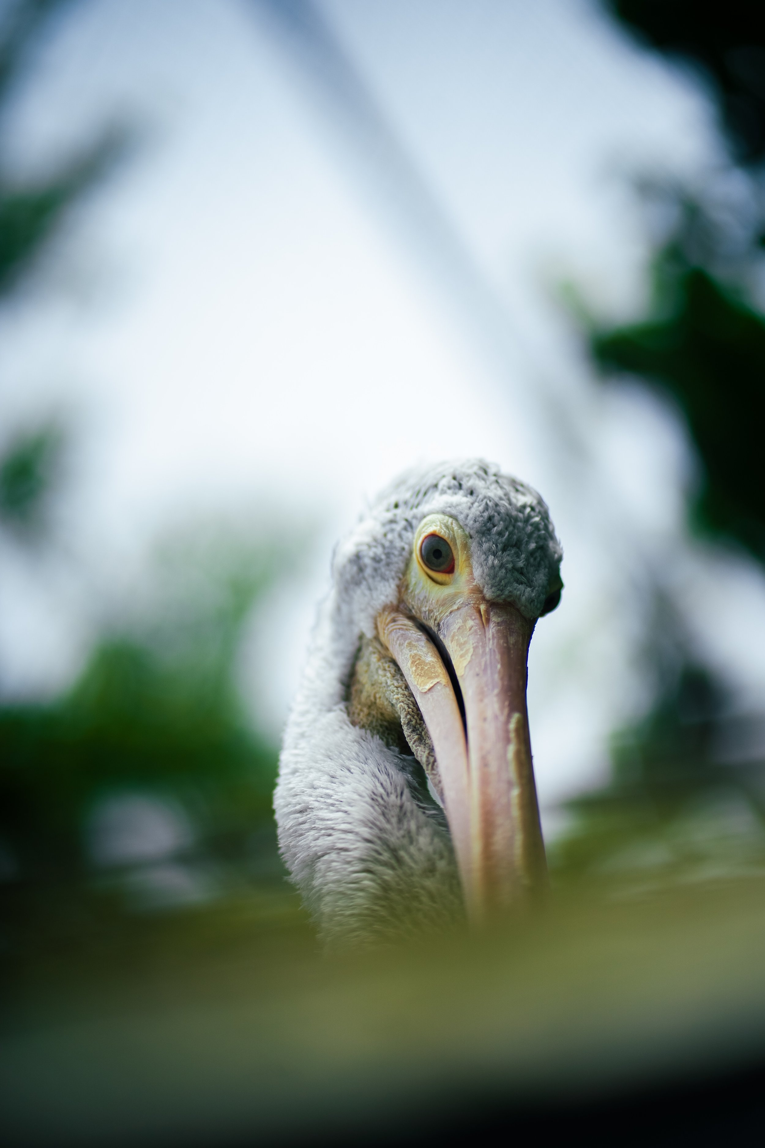 Photos save 30.5-18716.jpg