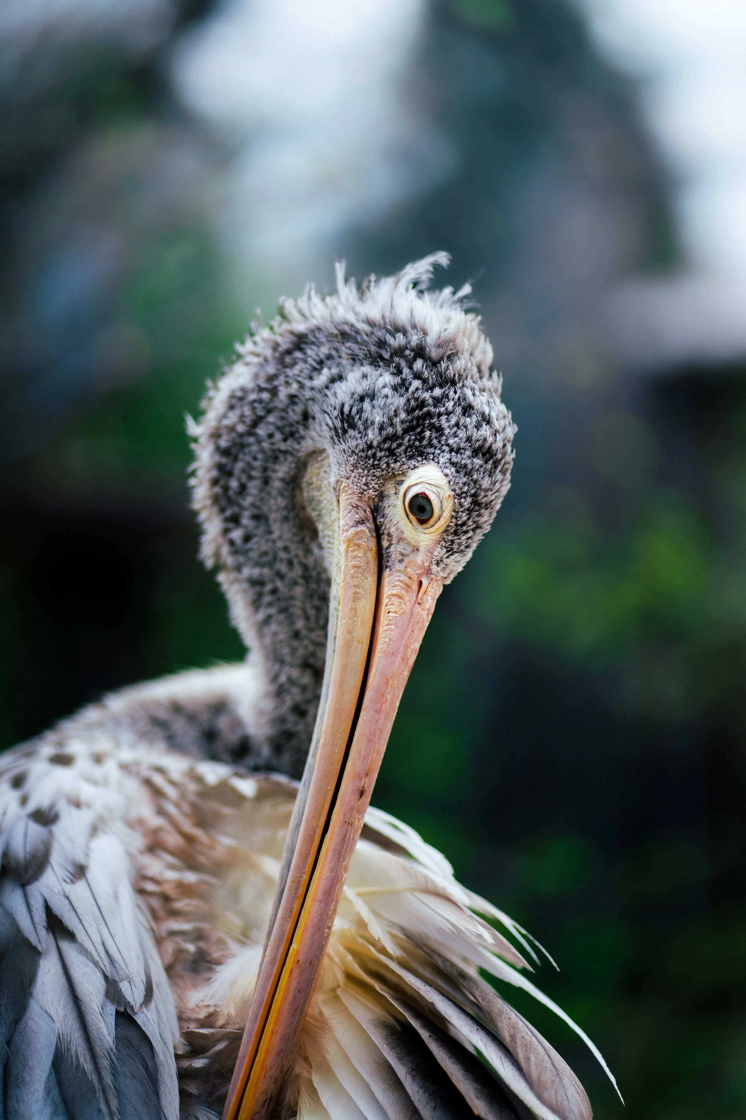 Photos save 30.5-21160.jpg