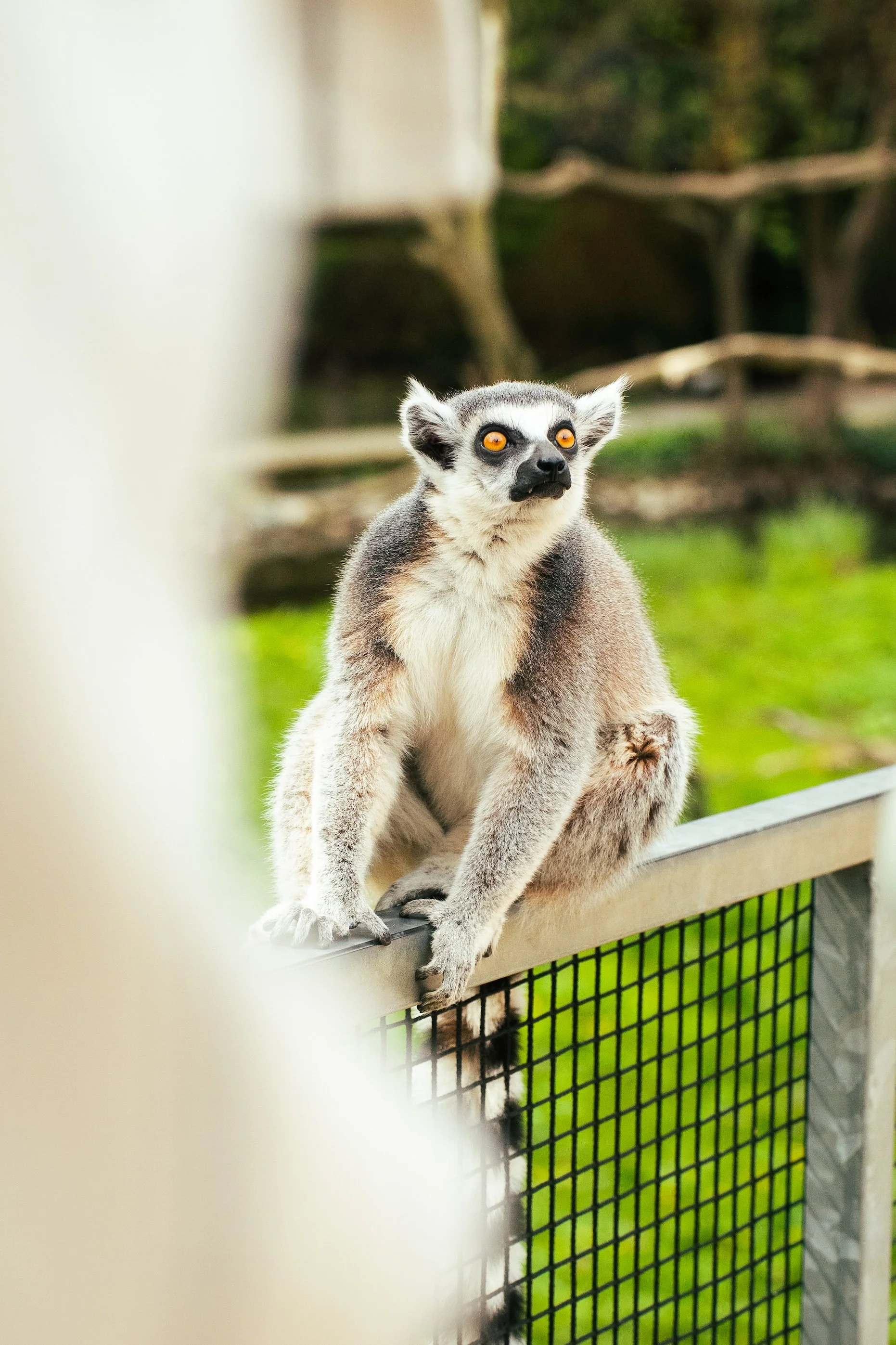 Photos save 30.5-21252.jpg