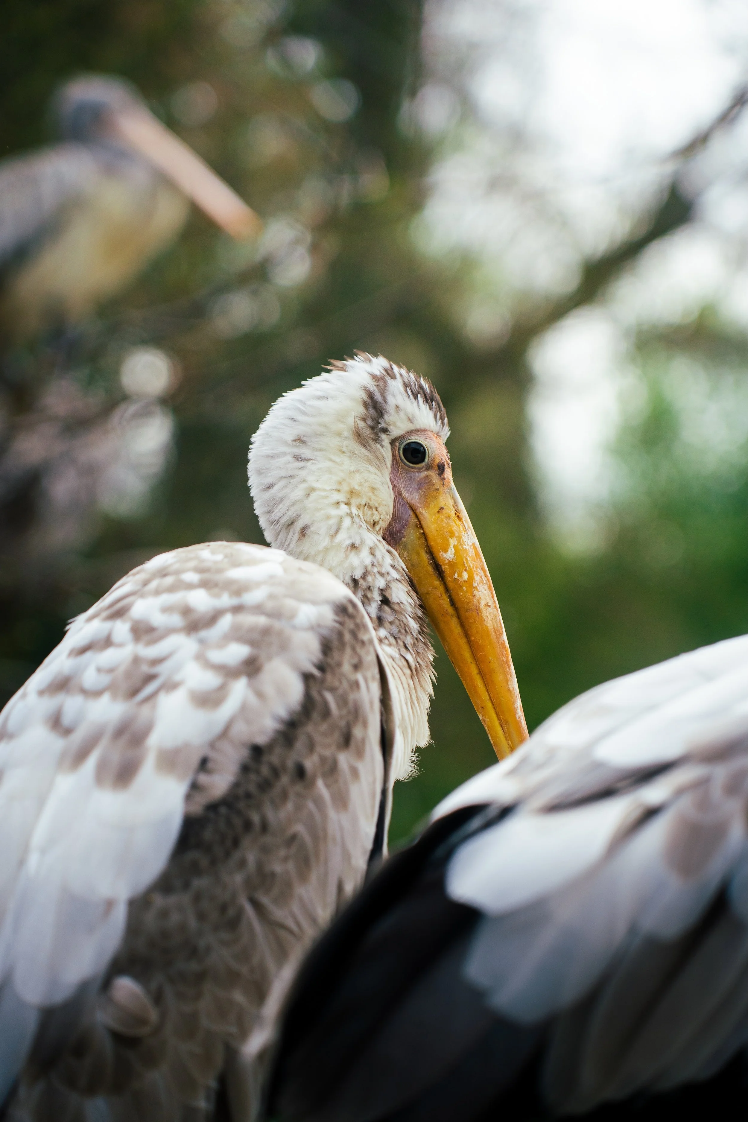 Photos save 30.5-21145.jpg