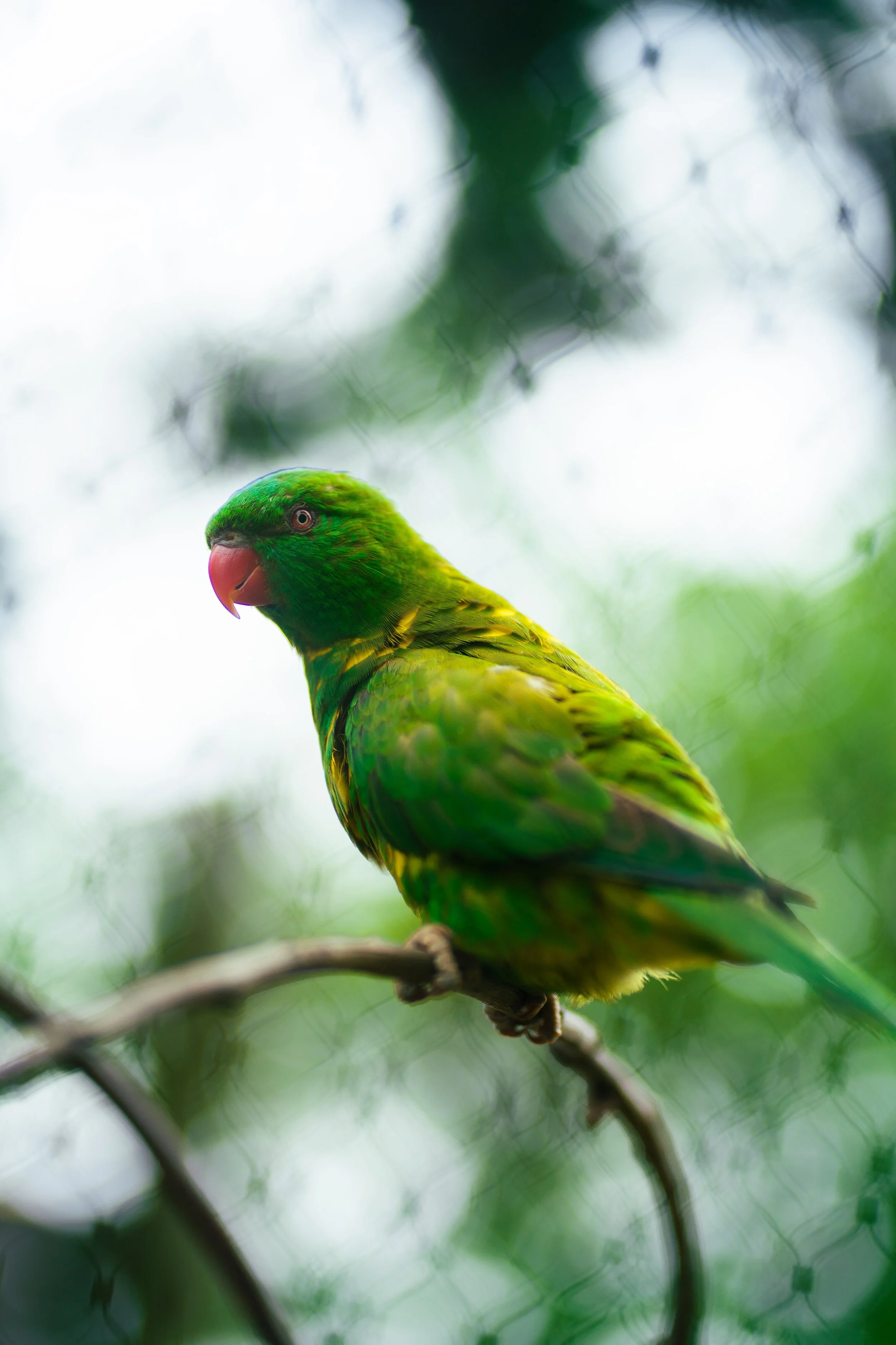 Photos save 30.5-18693.jpg