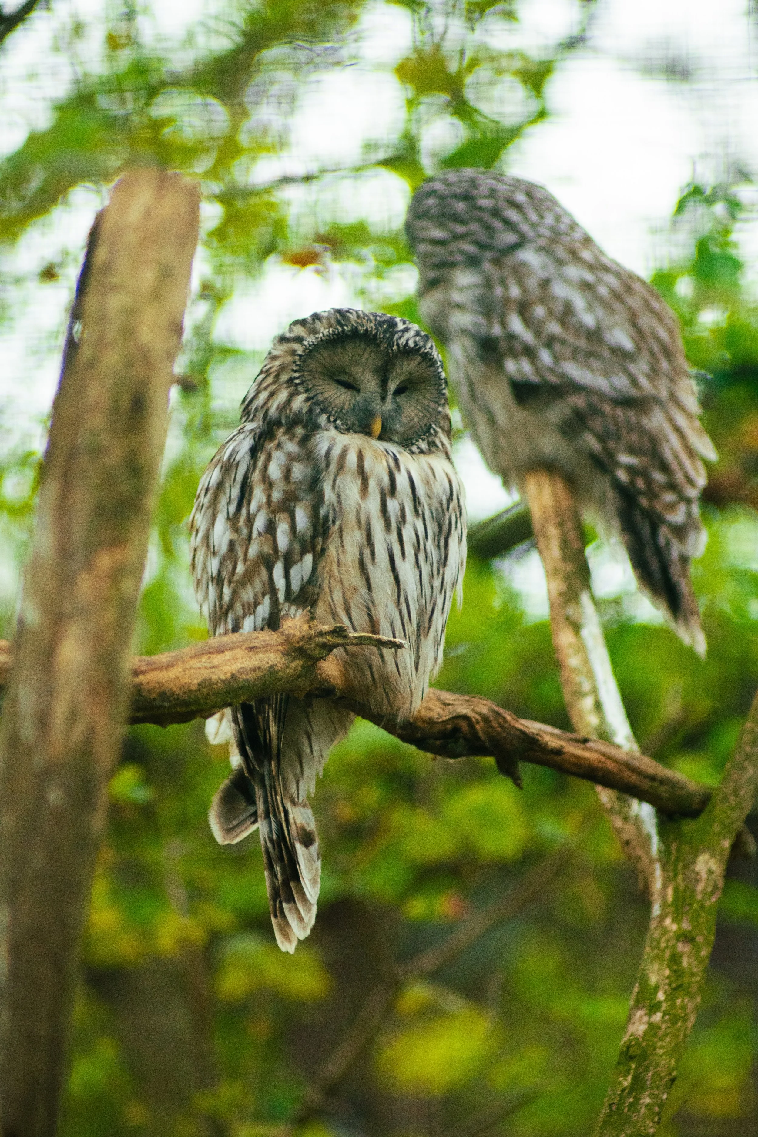 Photos save 30.5-21044.jpg